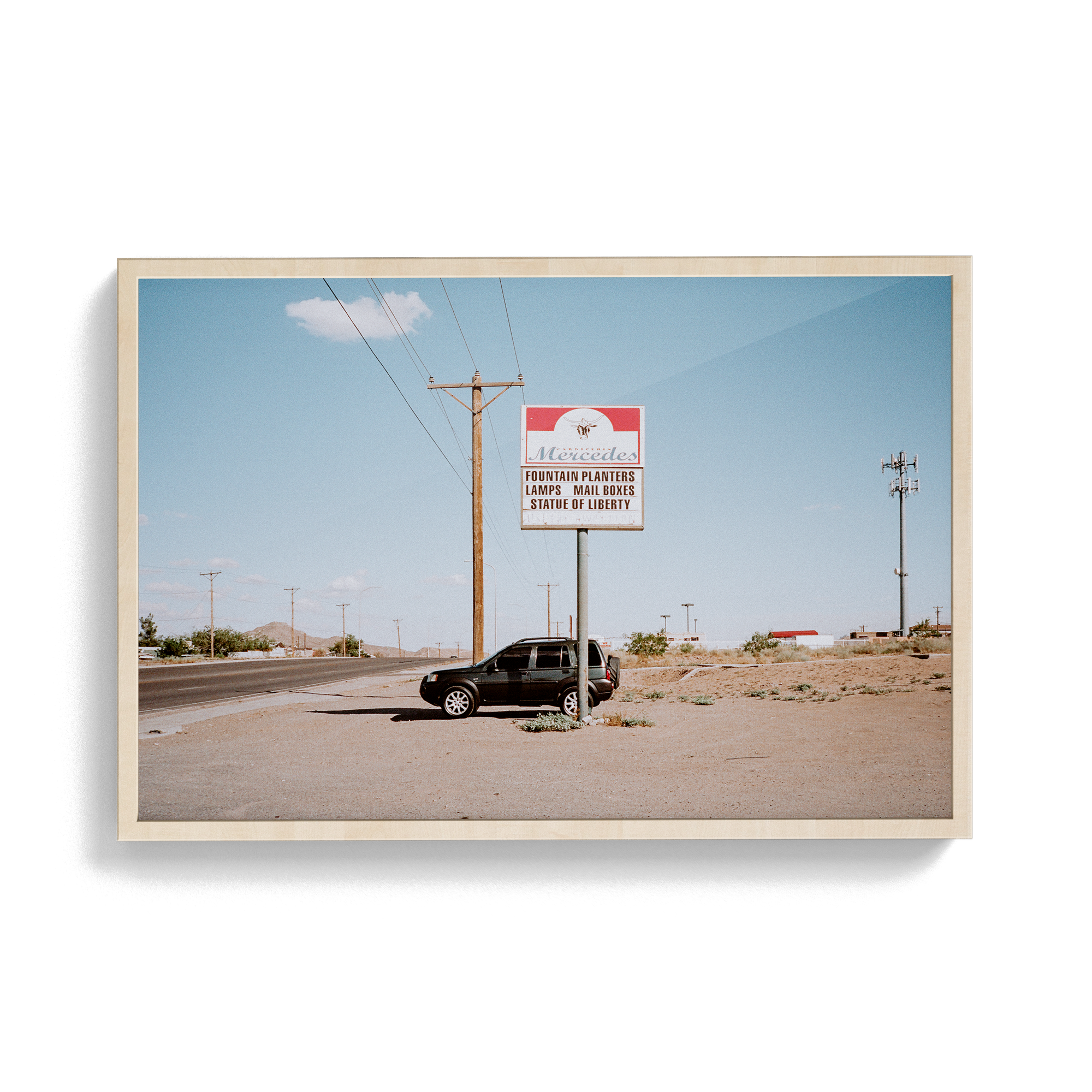South/West Diary (Liberty) photographic print