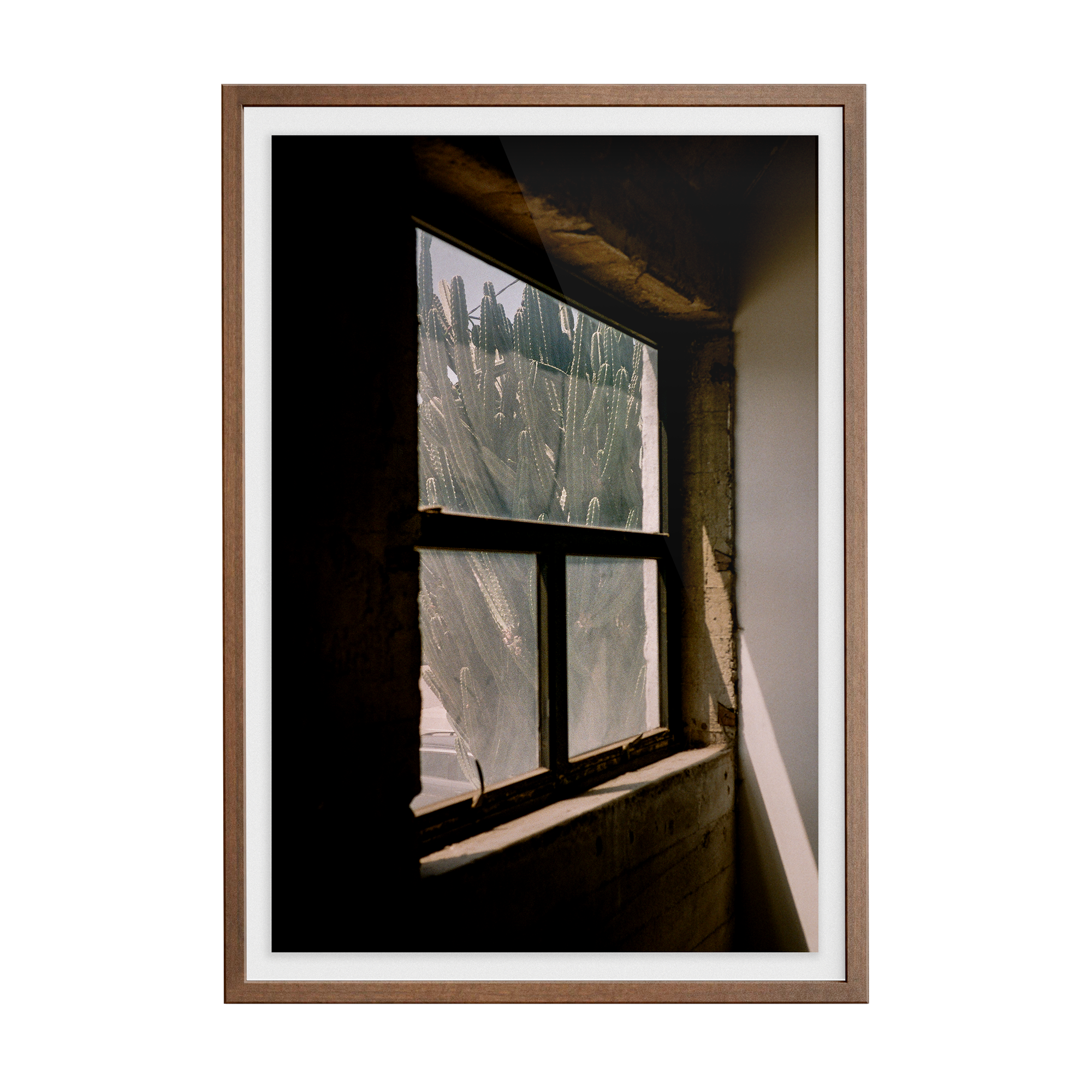 South/West Diary (Odessa) photographic print