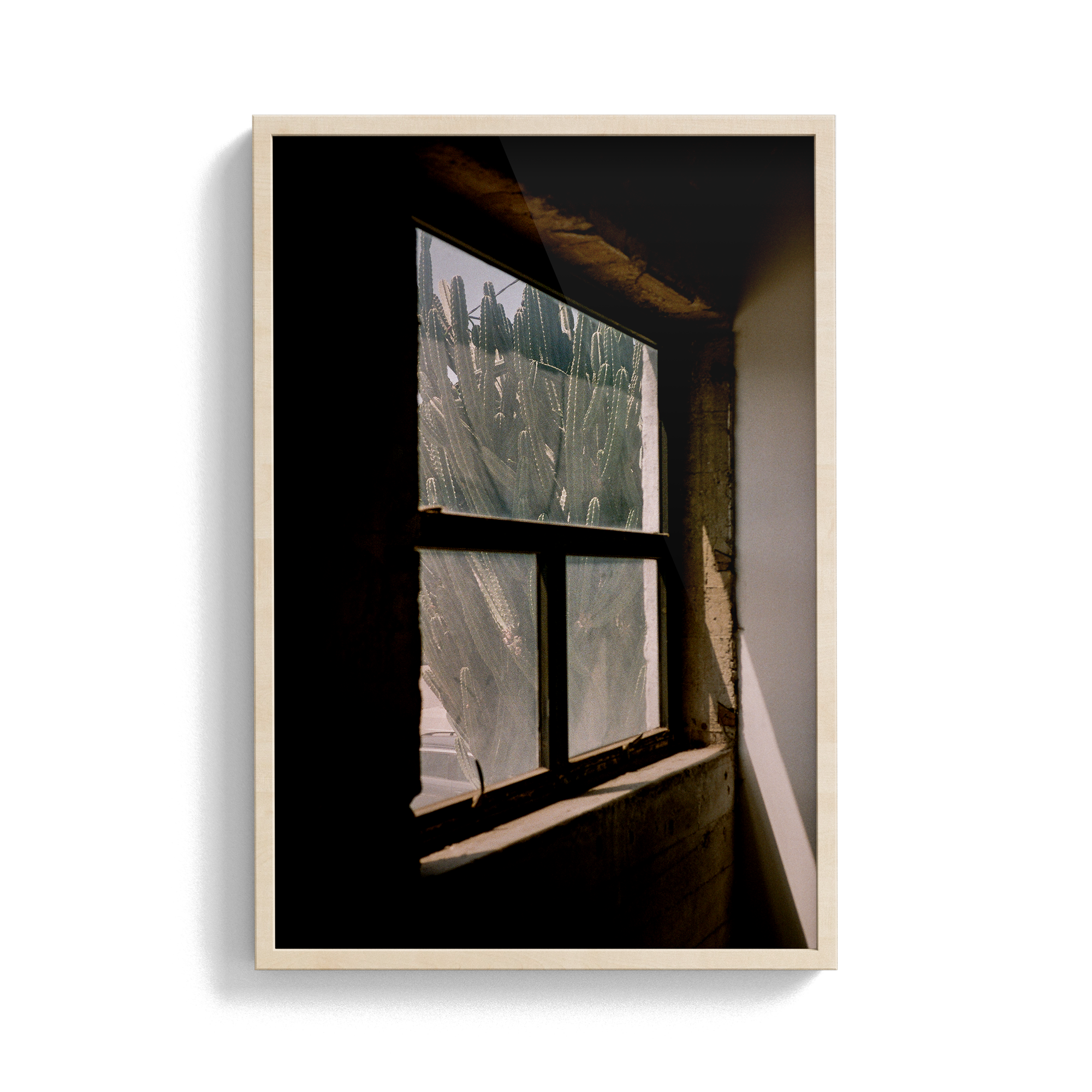 South/West Diary (Odessa) photographic print