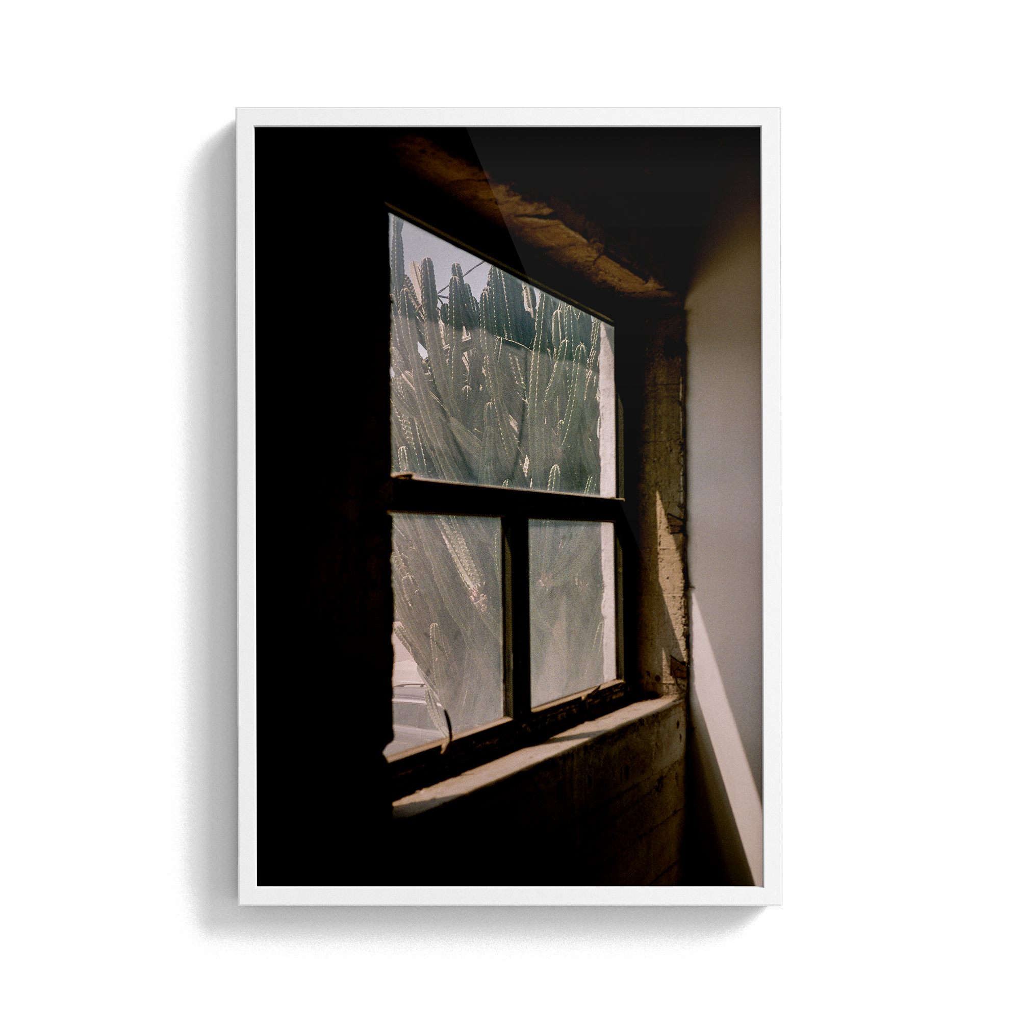 South/West Diary (Odessa) photographic print