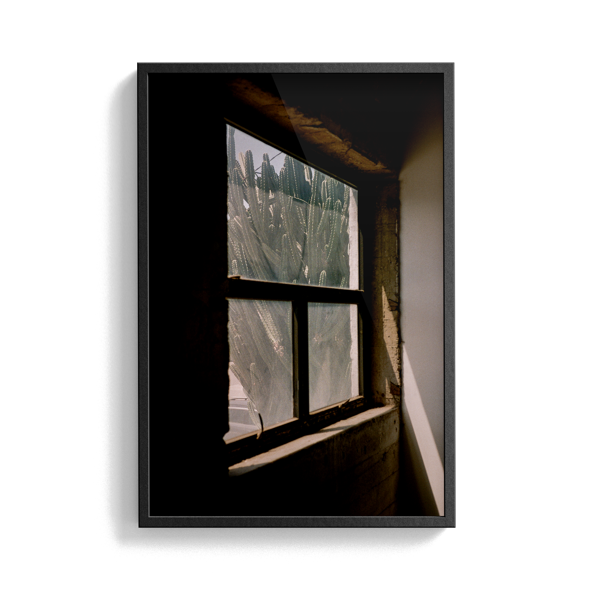 South/West Diary (Odessa) photographic print