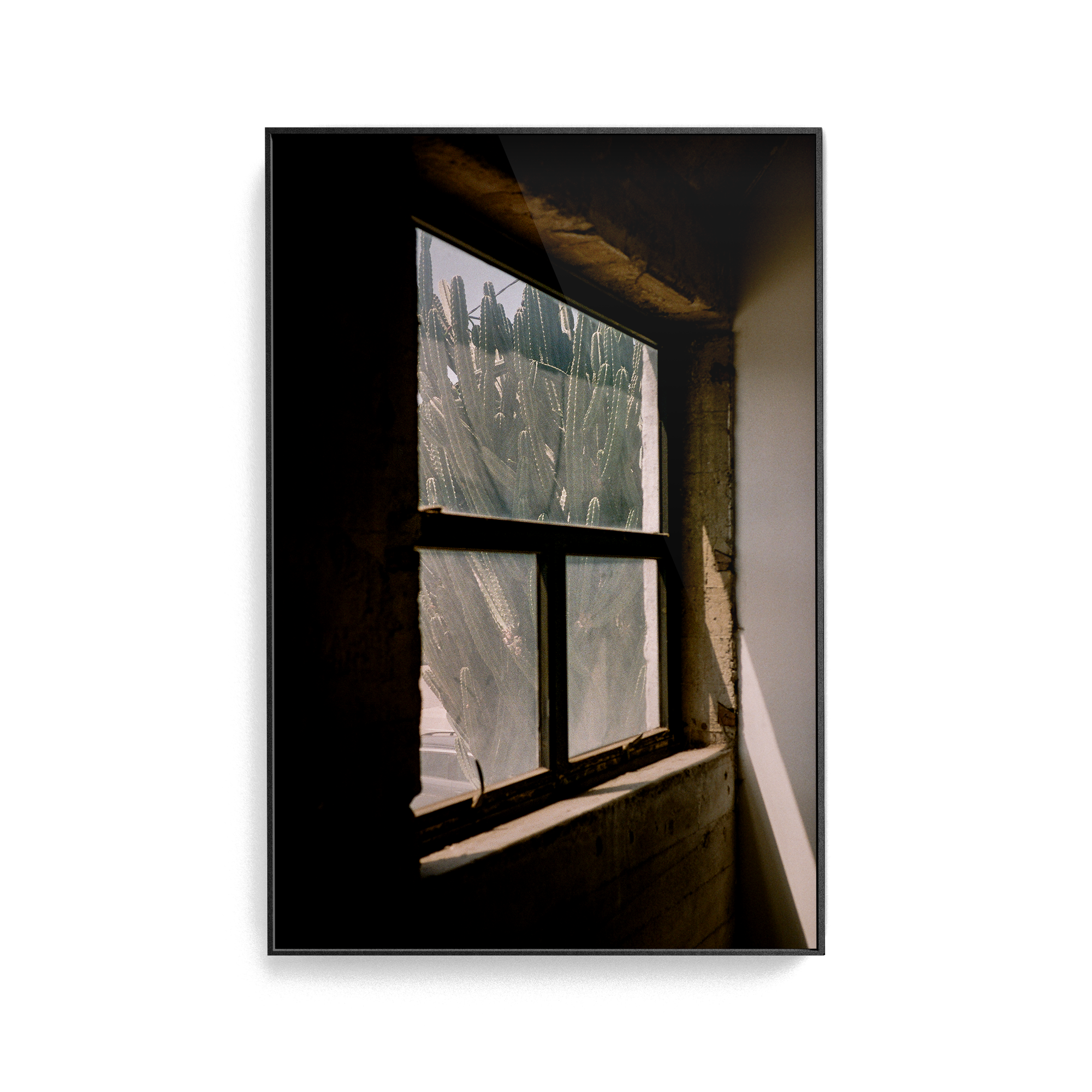 South/West Diary (Odessa) photographic print