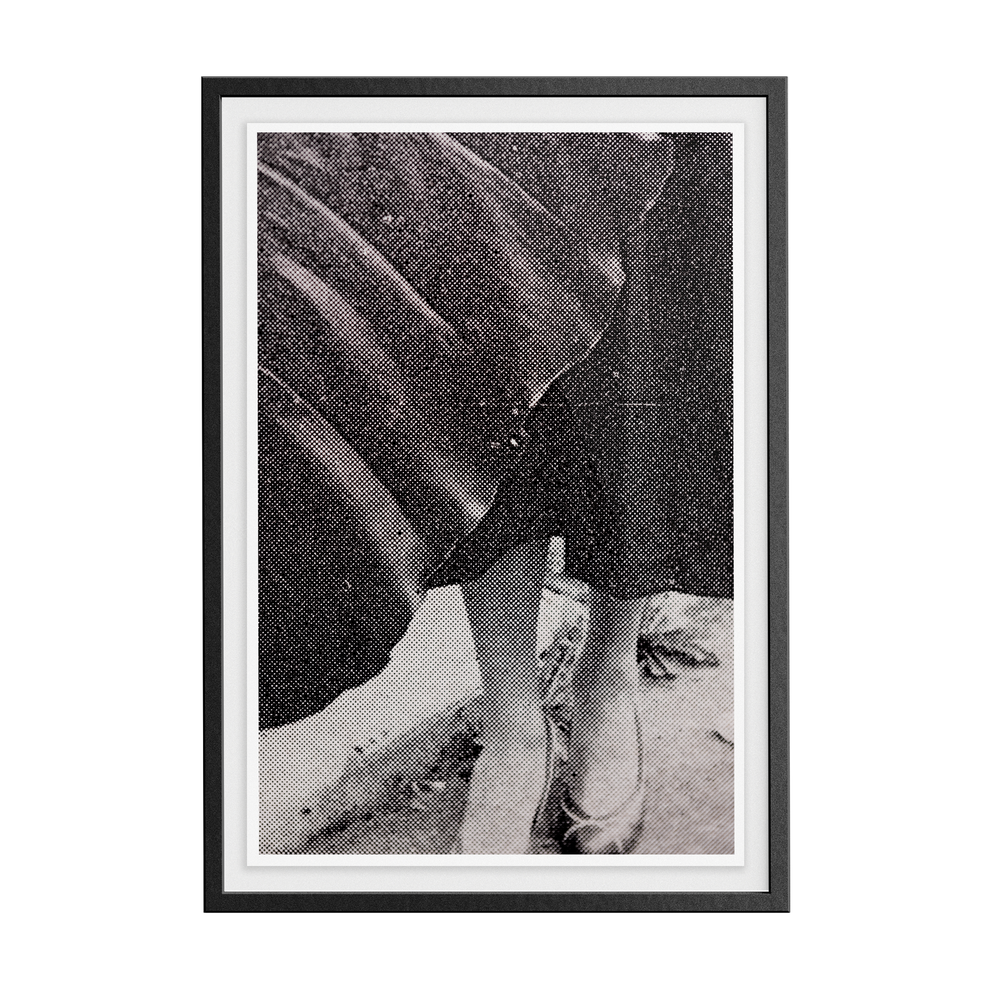 Suite Exotica Nova (No. 1) photographic print