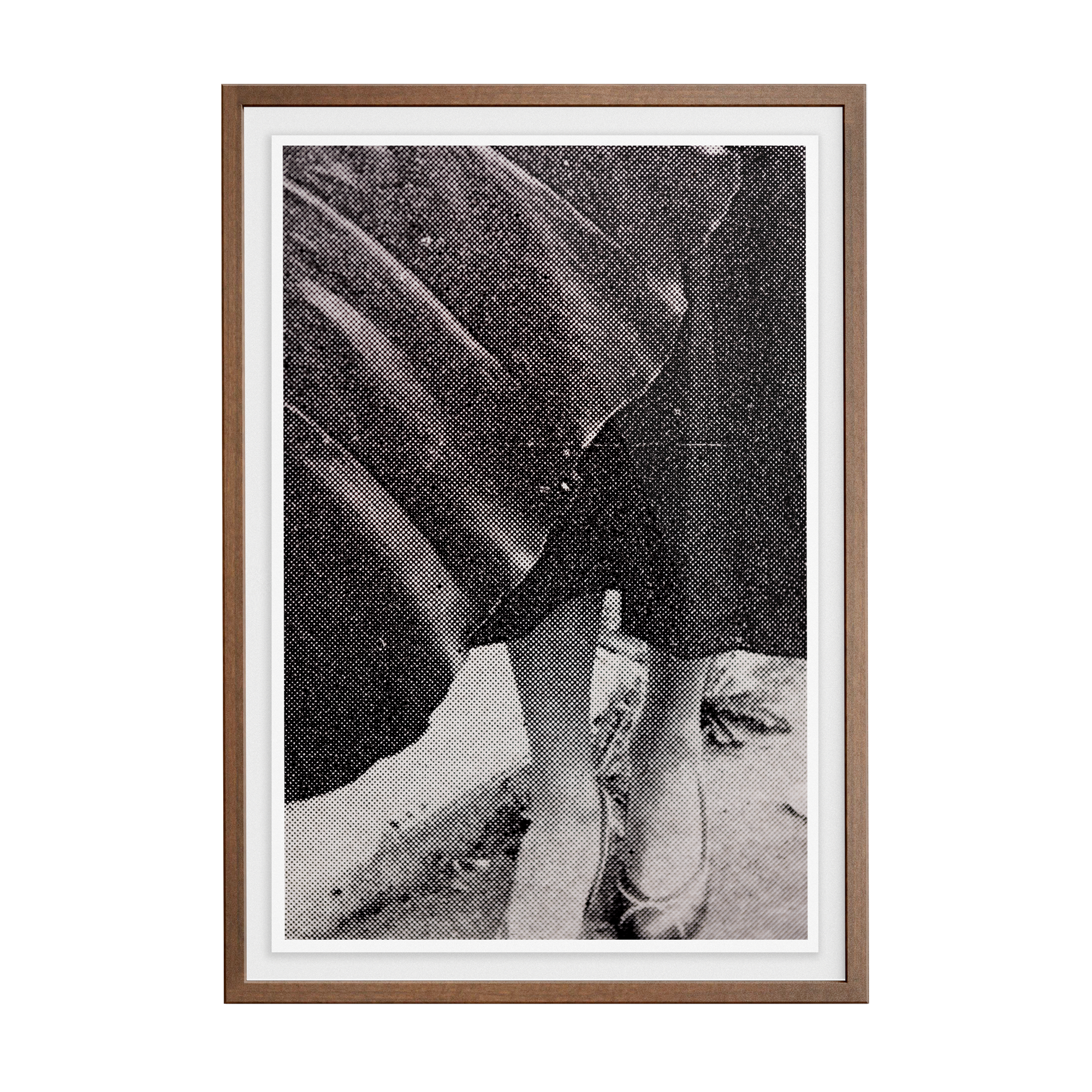 Suite Exotica Nova (No. 1) photographic print