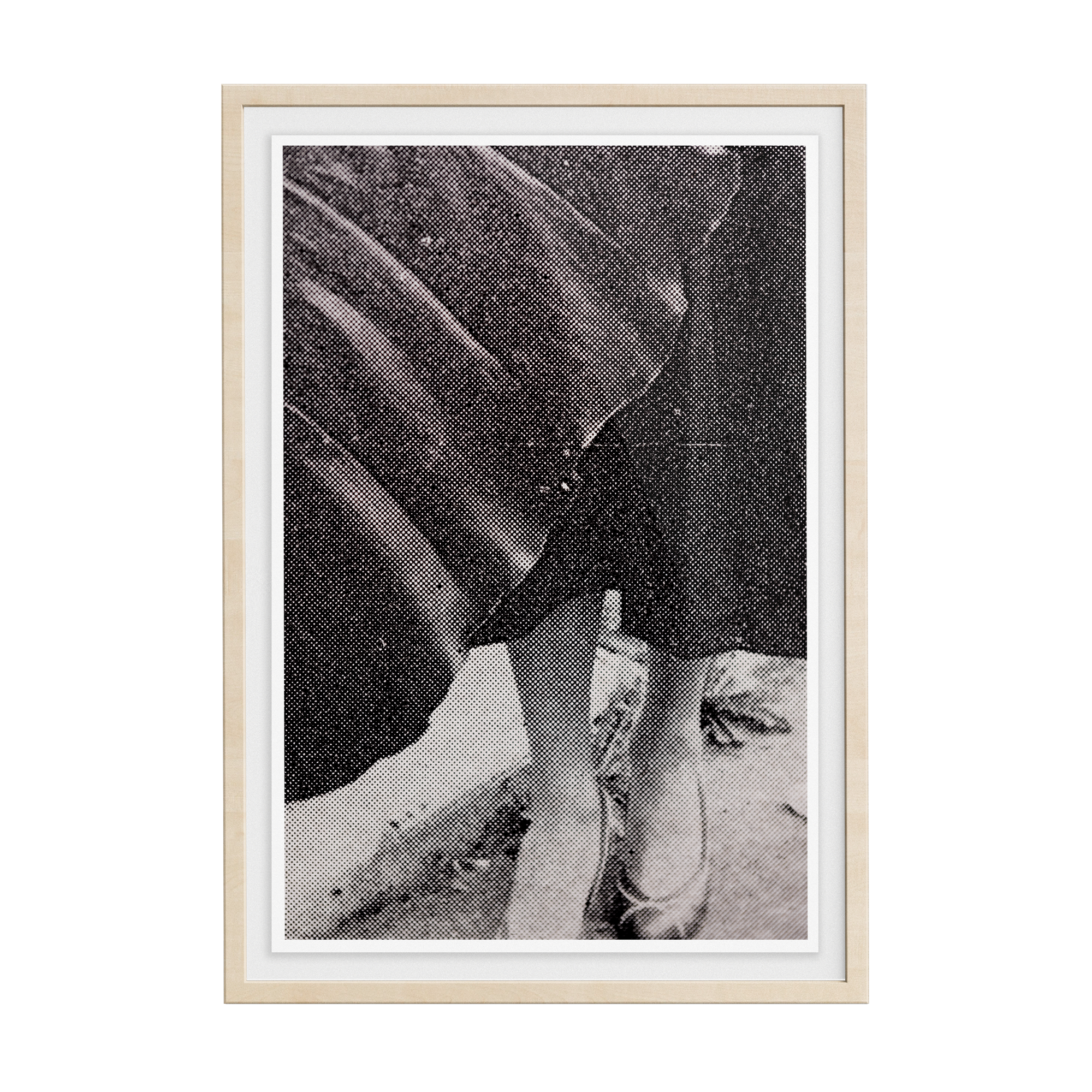 Suite Exotica Nova (No. 1) photographic print