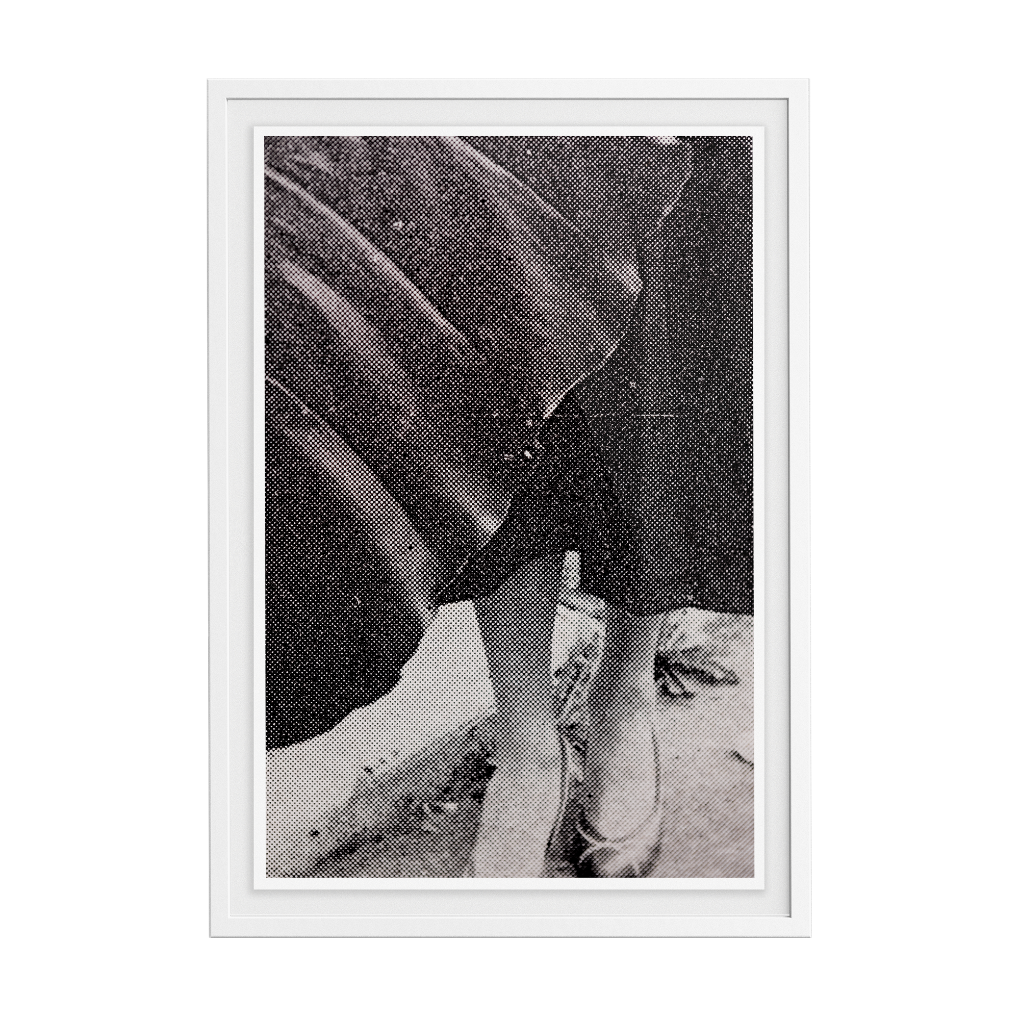 Suite Exotica Nova (No. 1) photographic print
