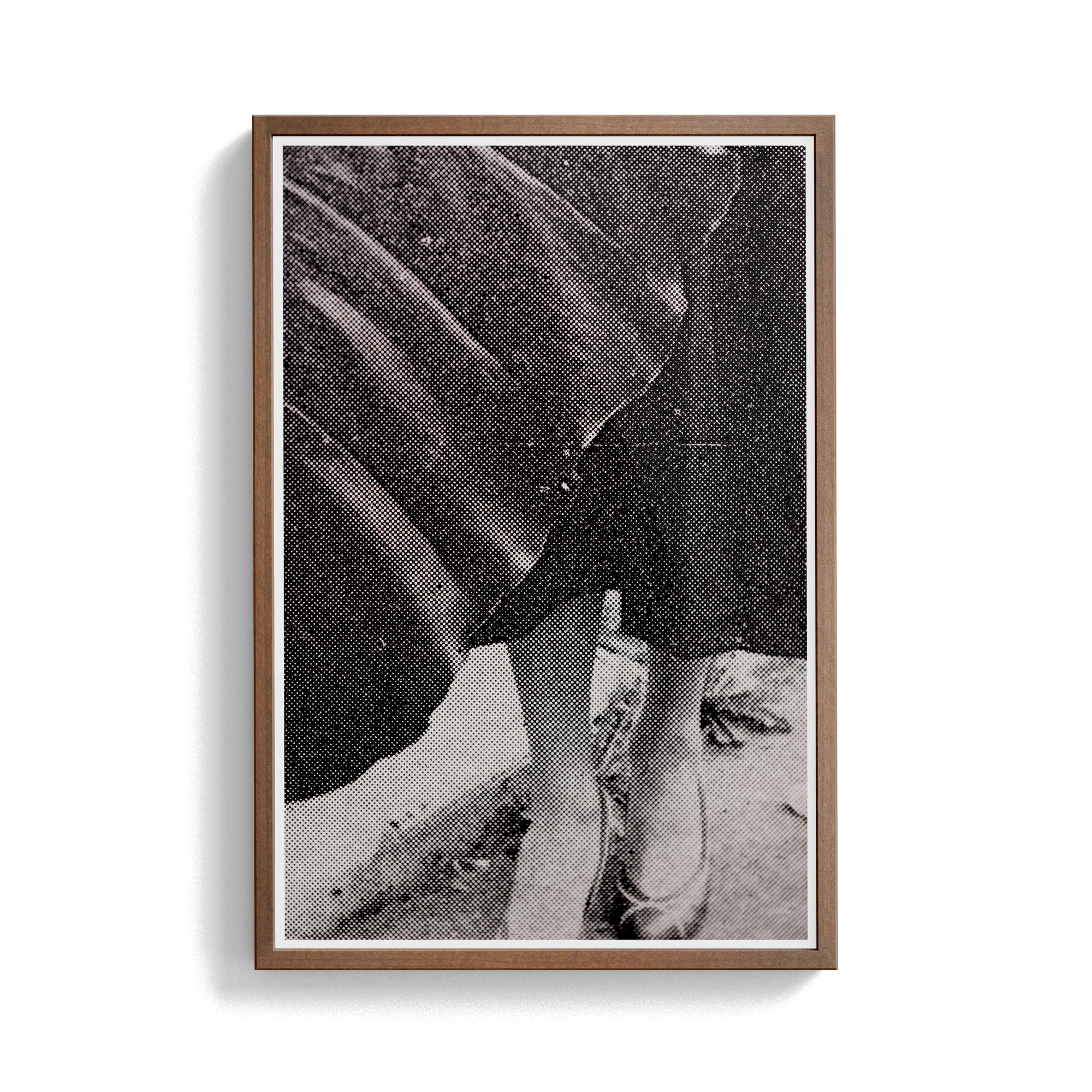 Suite Exotica Nova (No. 1) photographic print
