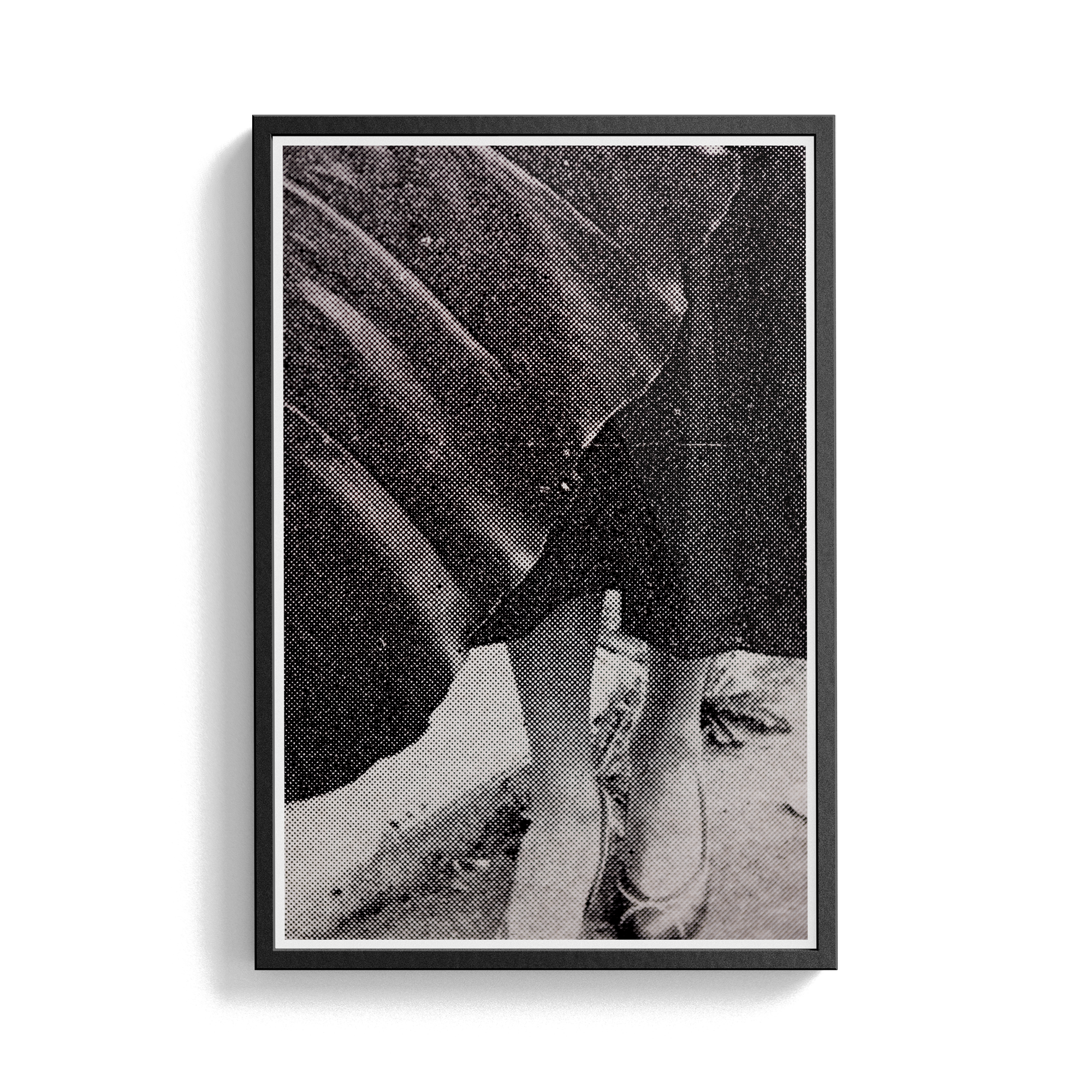 Suite Exotica Nova (No. 1) photographic print