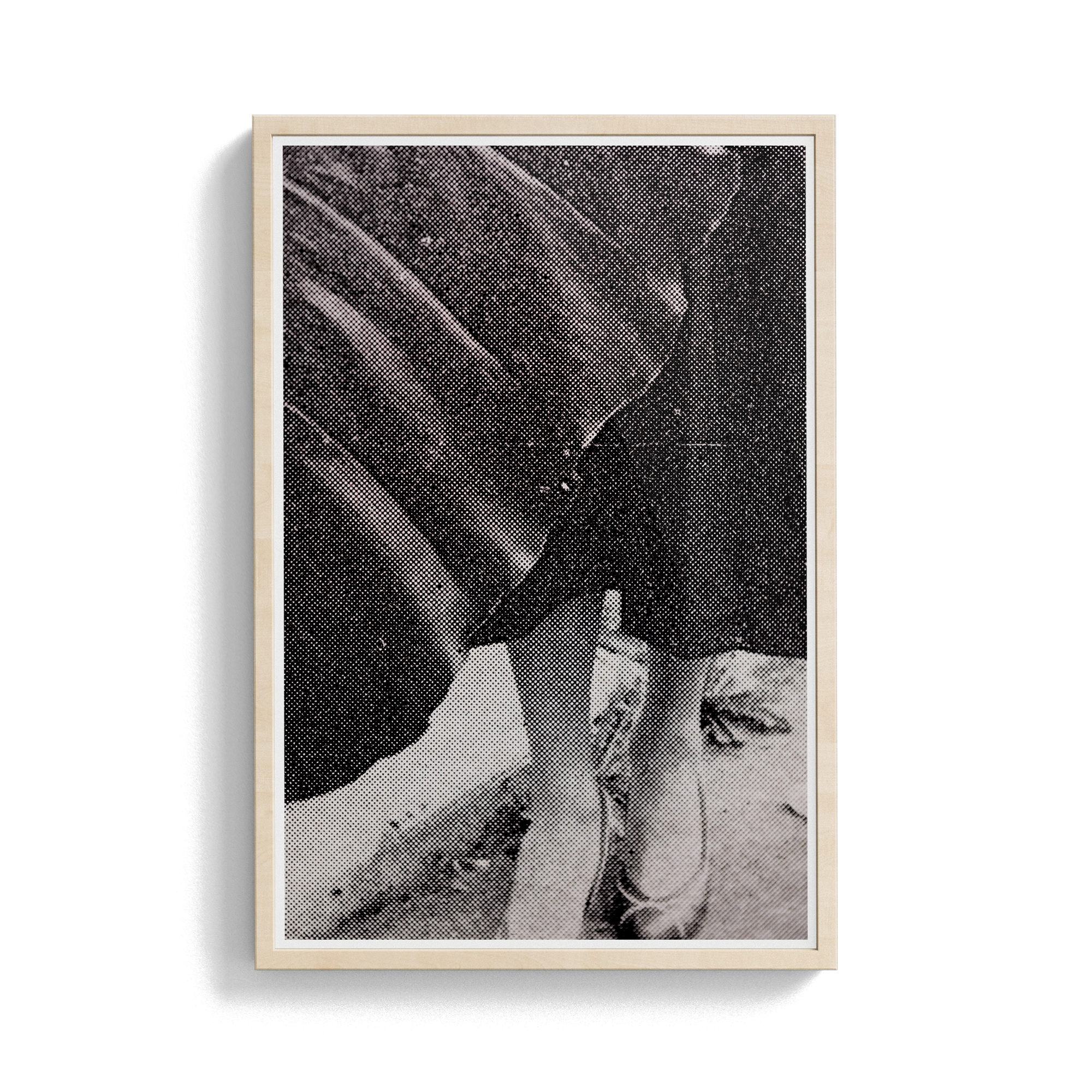 Suite Exotica Nova (No. 1) photographic print