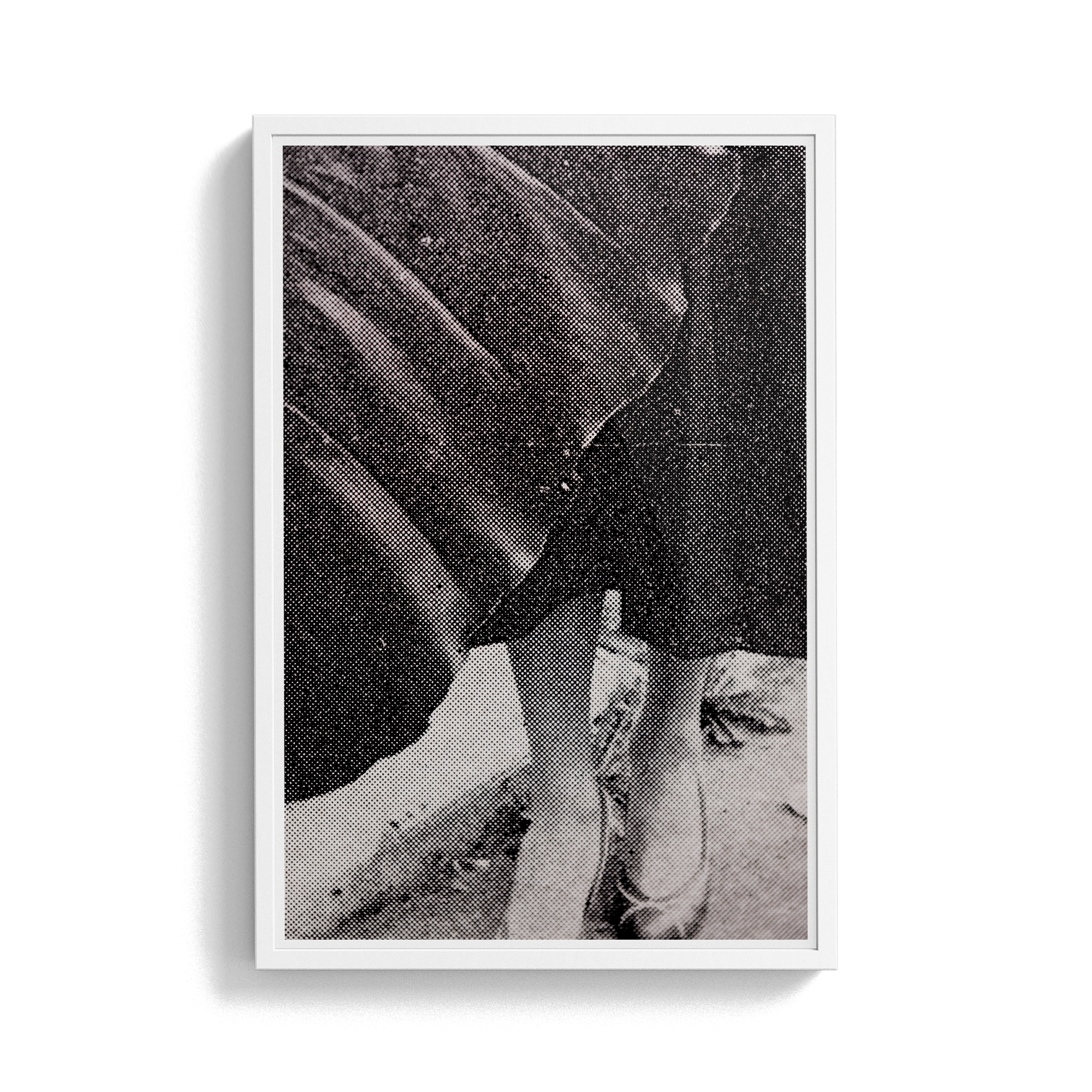 Suite Exotica Nova (No. 1) photographic print