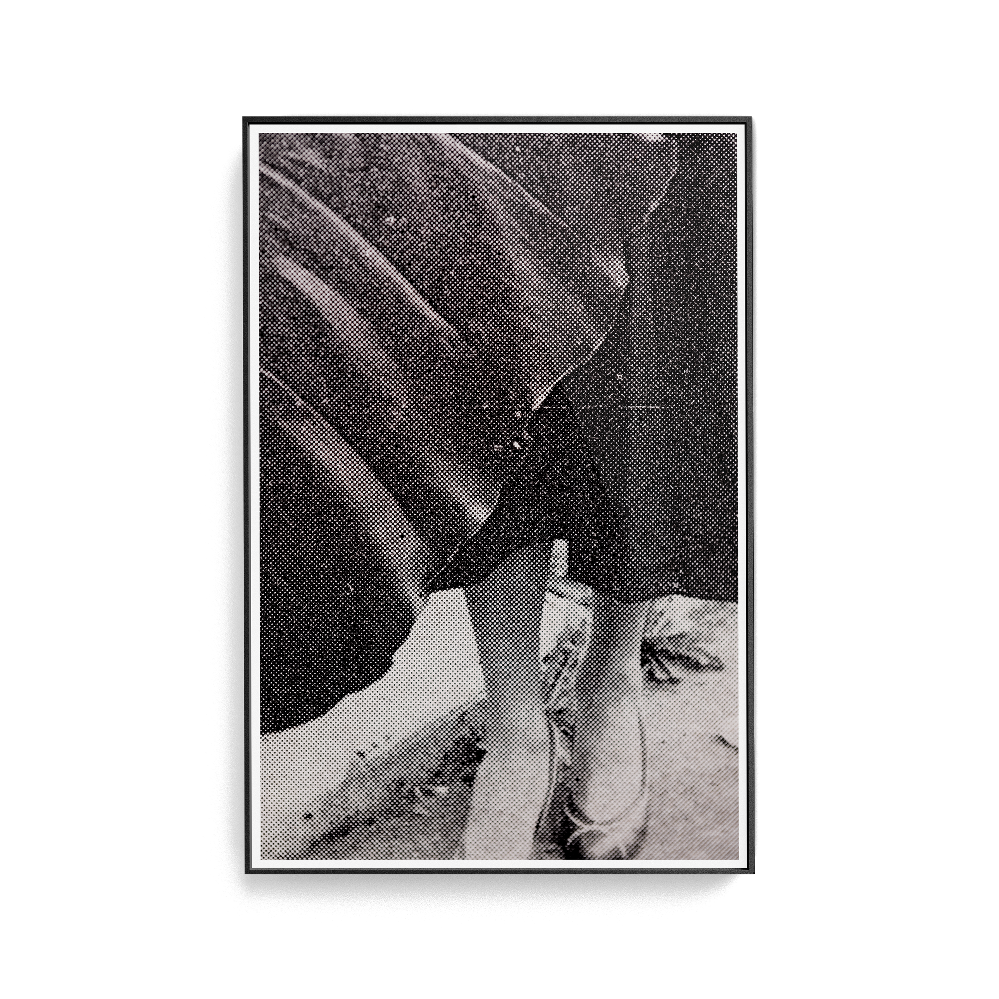 Suite Exotica Nova (No. 1) photographic print