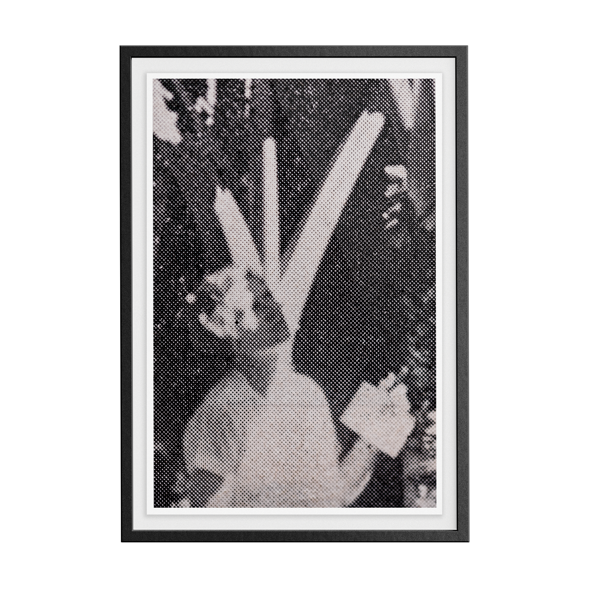 Suite Exotica Nova (No. 2) photographic print