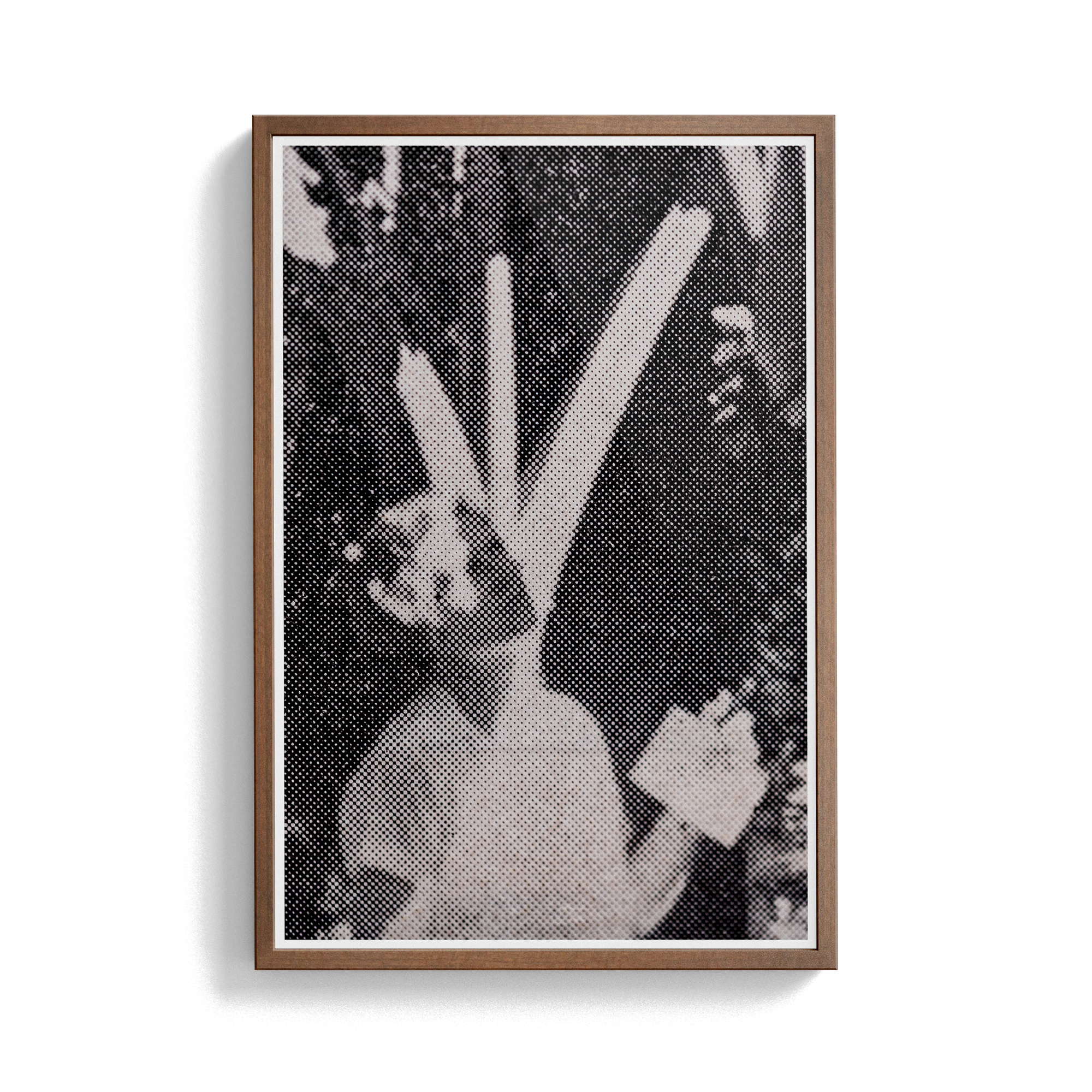 Suite Exotica Nova (No. 2) photographic print