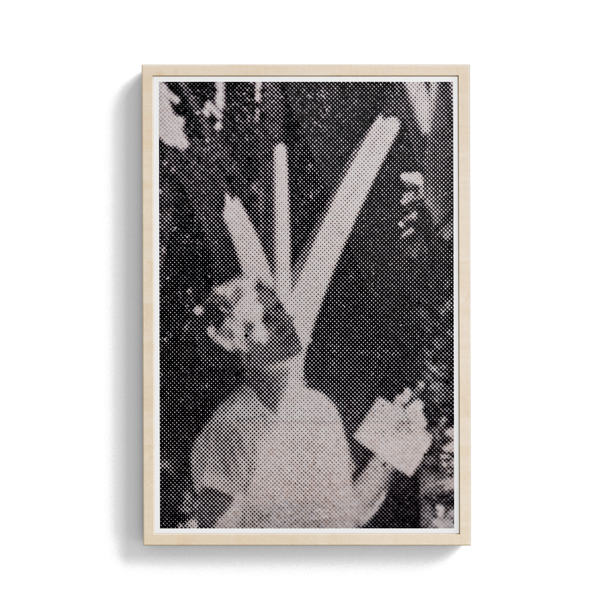 Suite Exotica Nova (No. 2) photographic print
