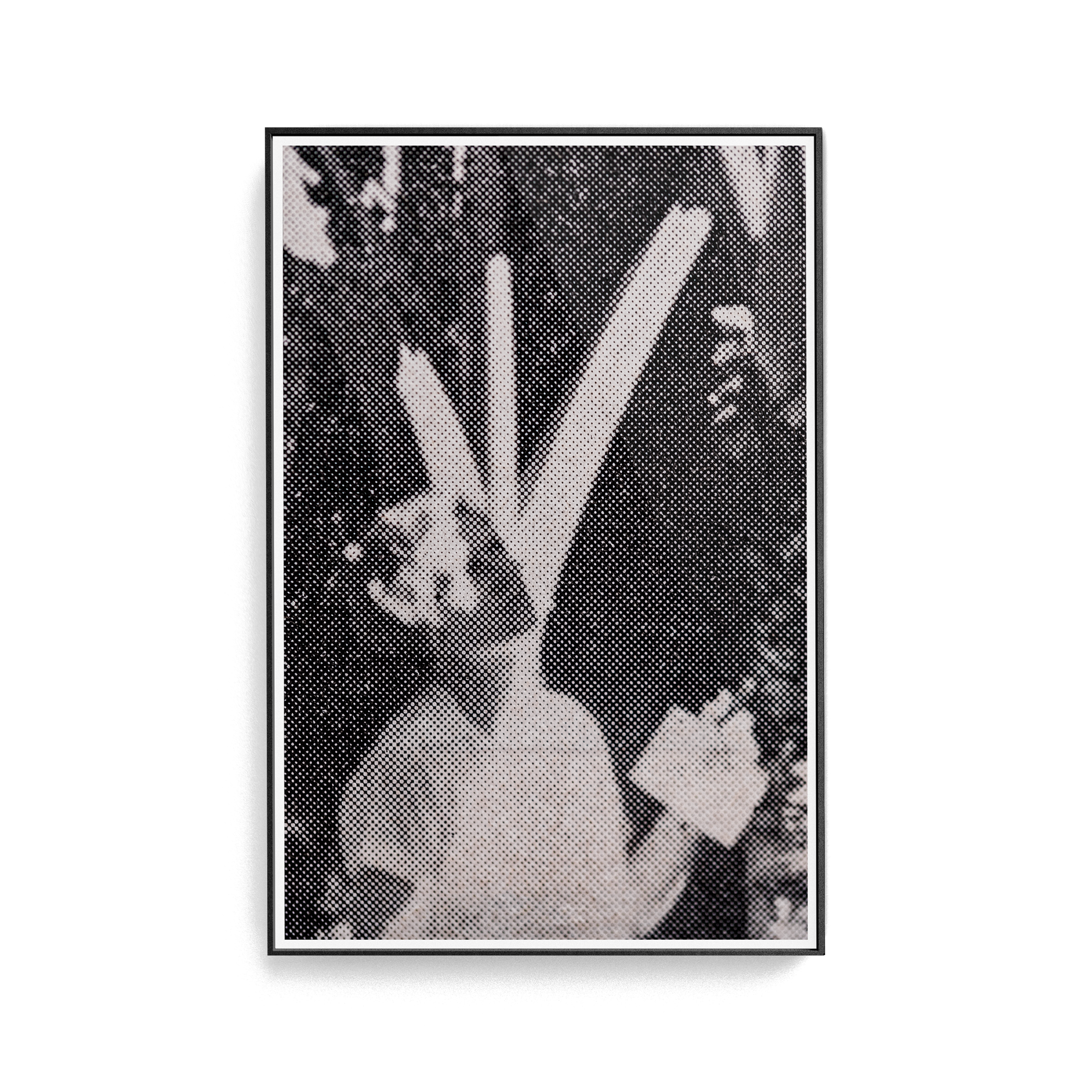 Suite Exotica Nova (No. 2) photographic print
