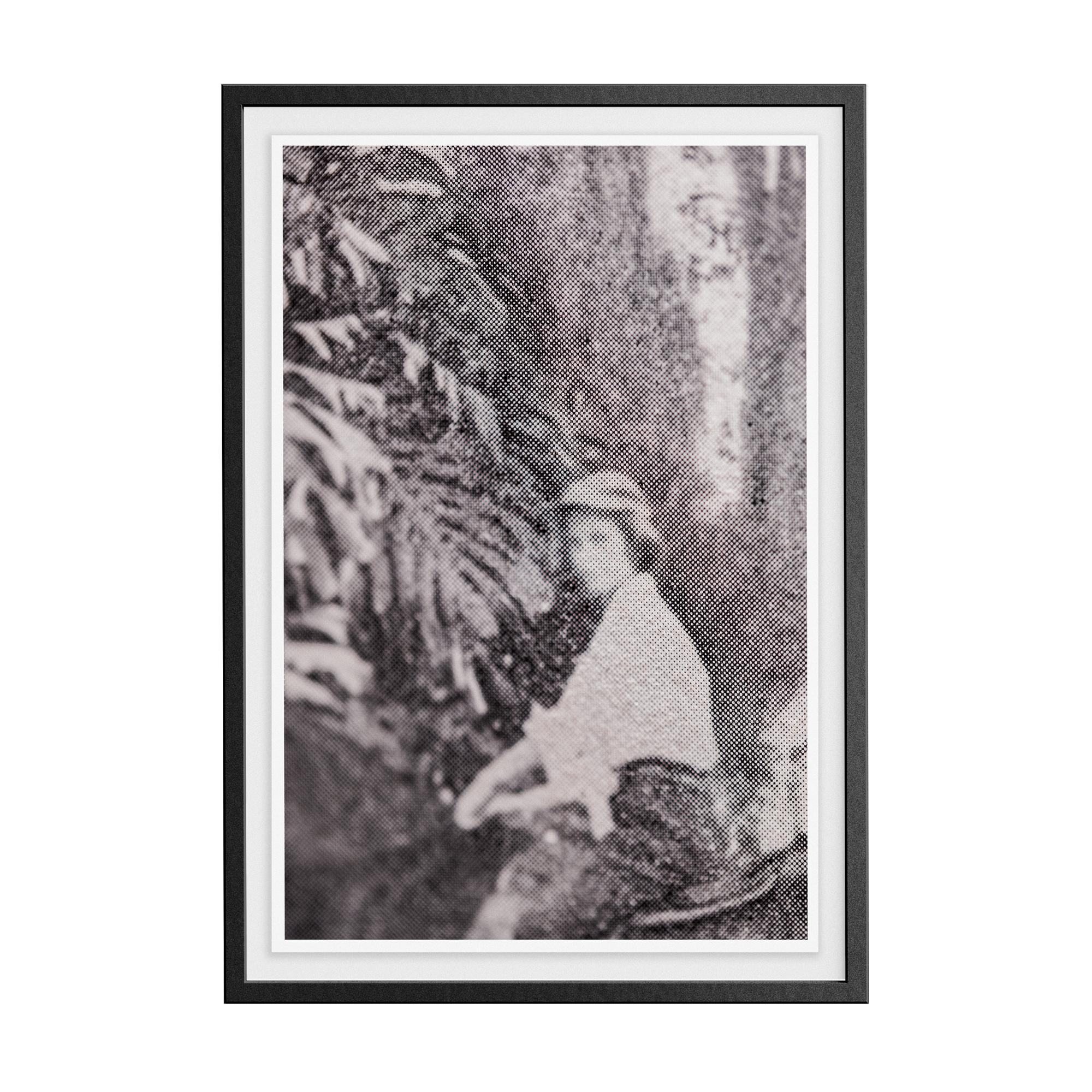 Suite Exotica Nova (No. 3) photographic print