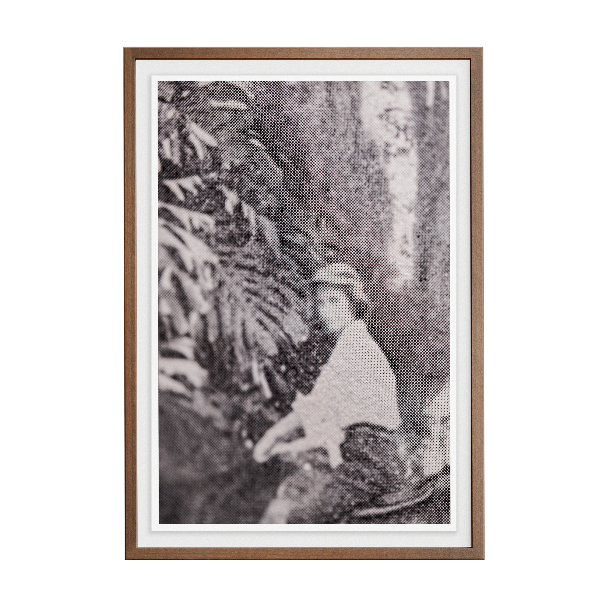 Suite Exotica Nova (No. 3) photographic print