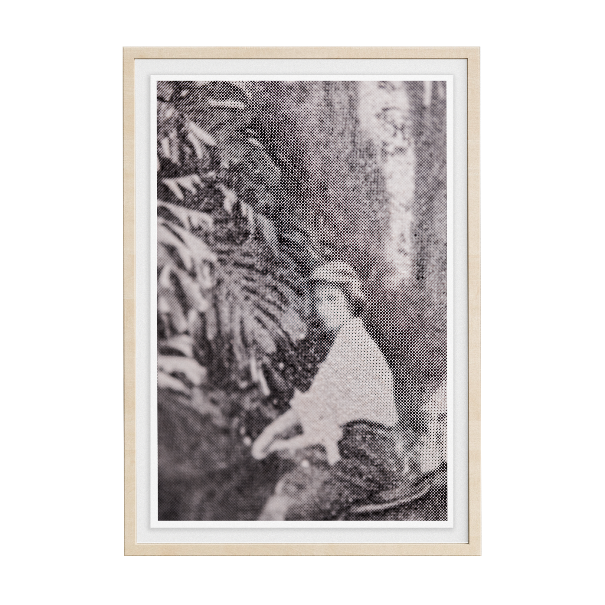 Suite Exotica Nova (No. 3) photographic print