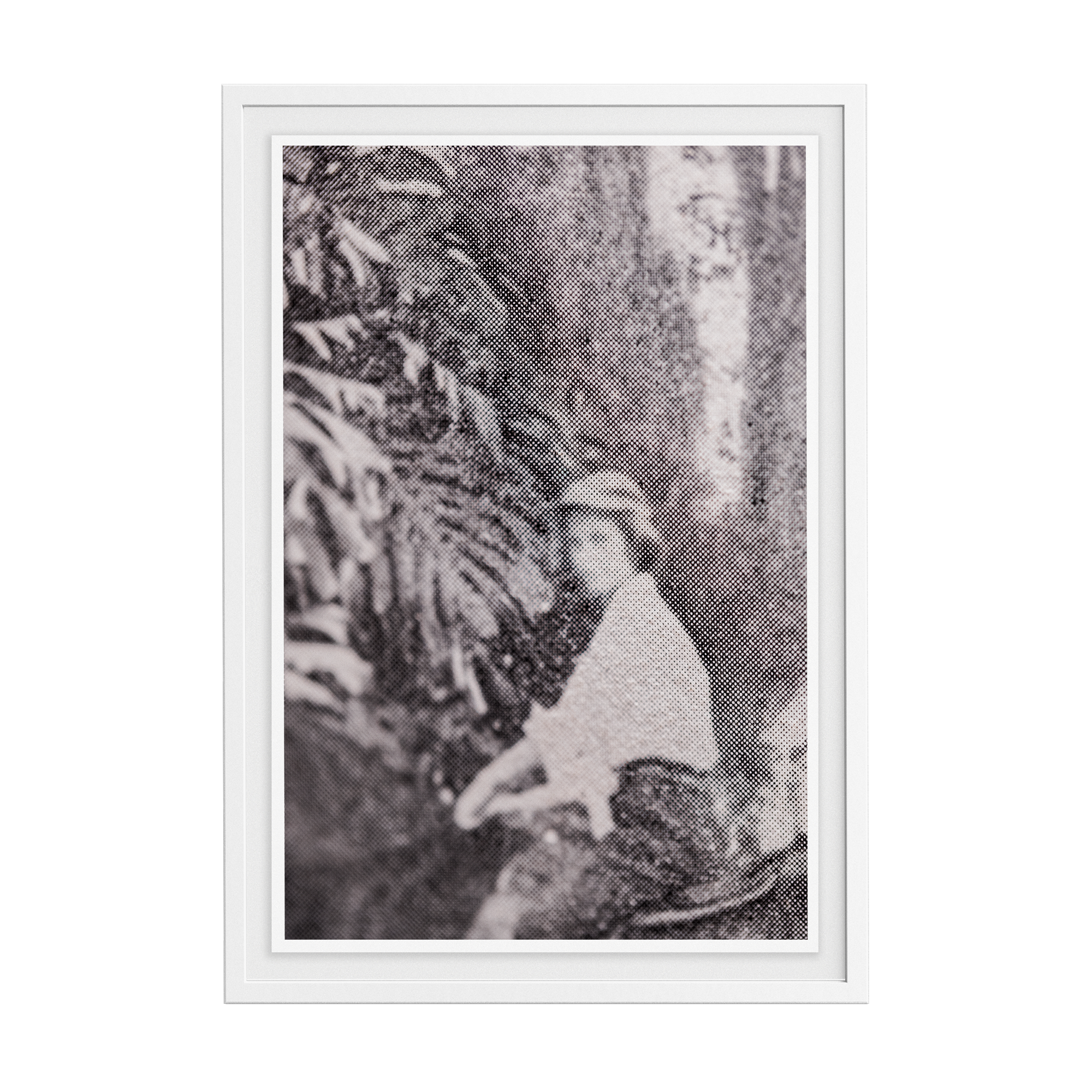 Suite Exotica Nova (No. 3) photographic print