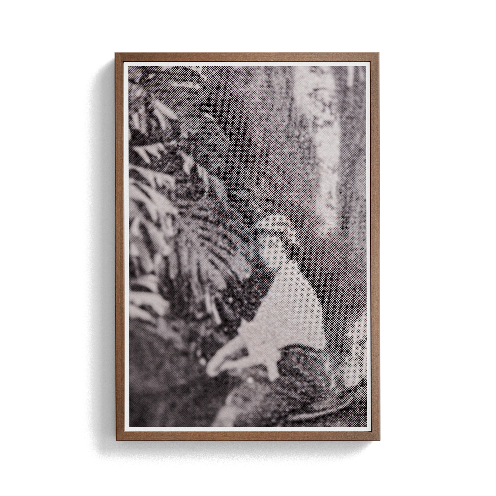 Suite Exotica Nova (No. 3) photographic print