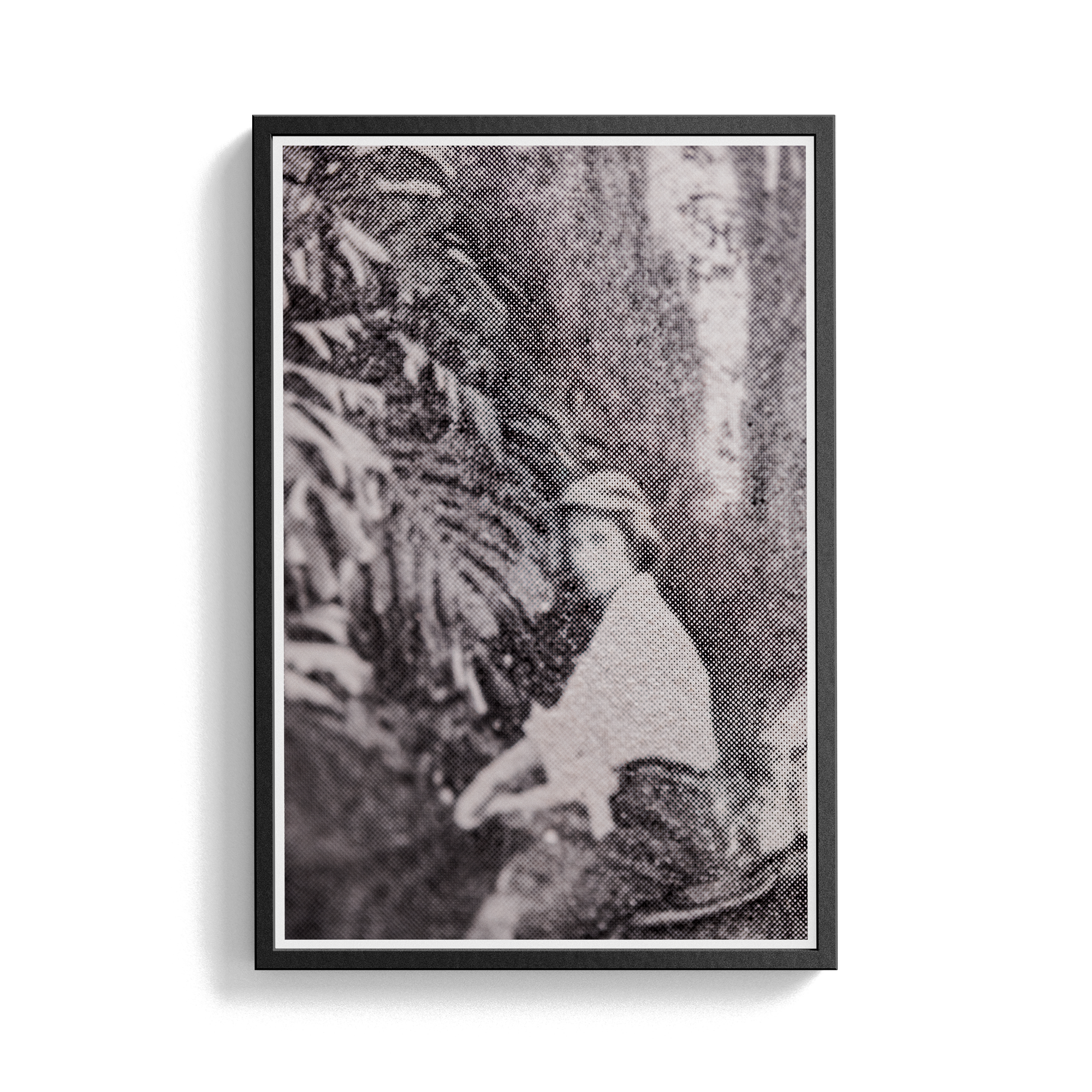 Suite Exotica Nova (No. 3) photographic print