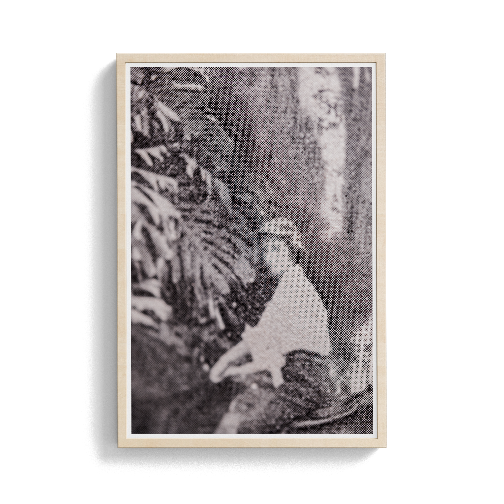 Suite Exotica Nova (No. 3) photographic print