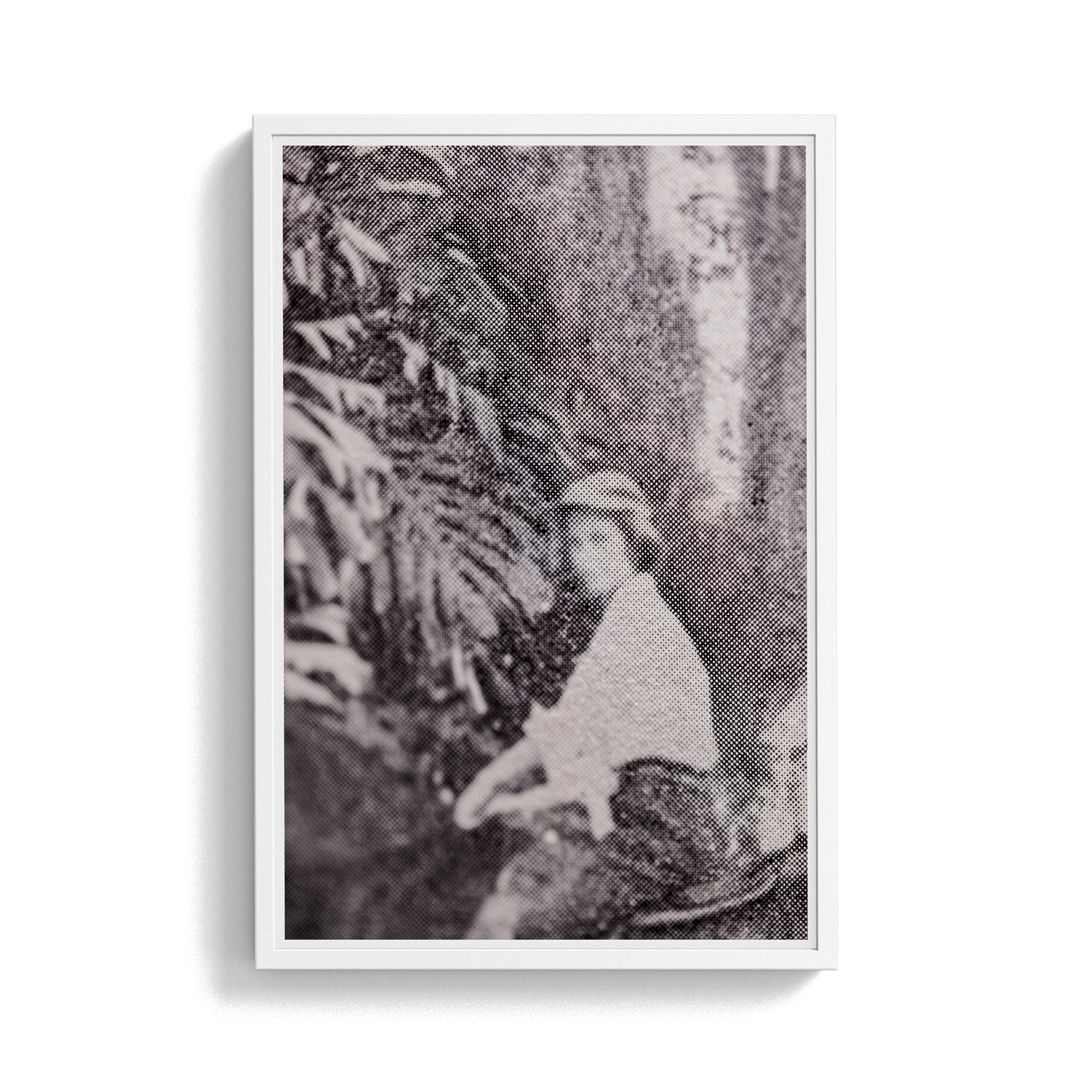 Suite Exotica Nova (No. 3) photographic print
