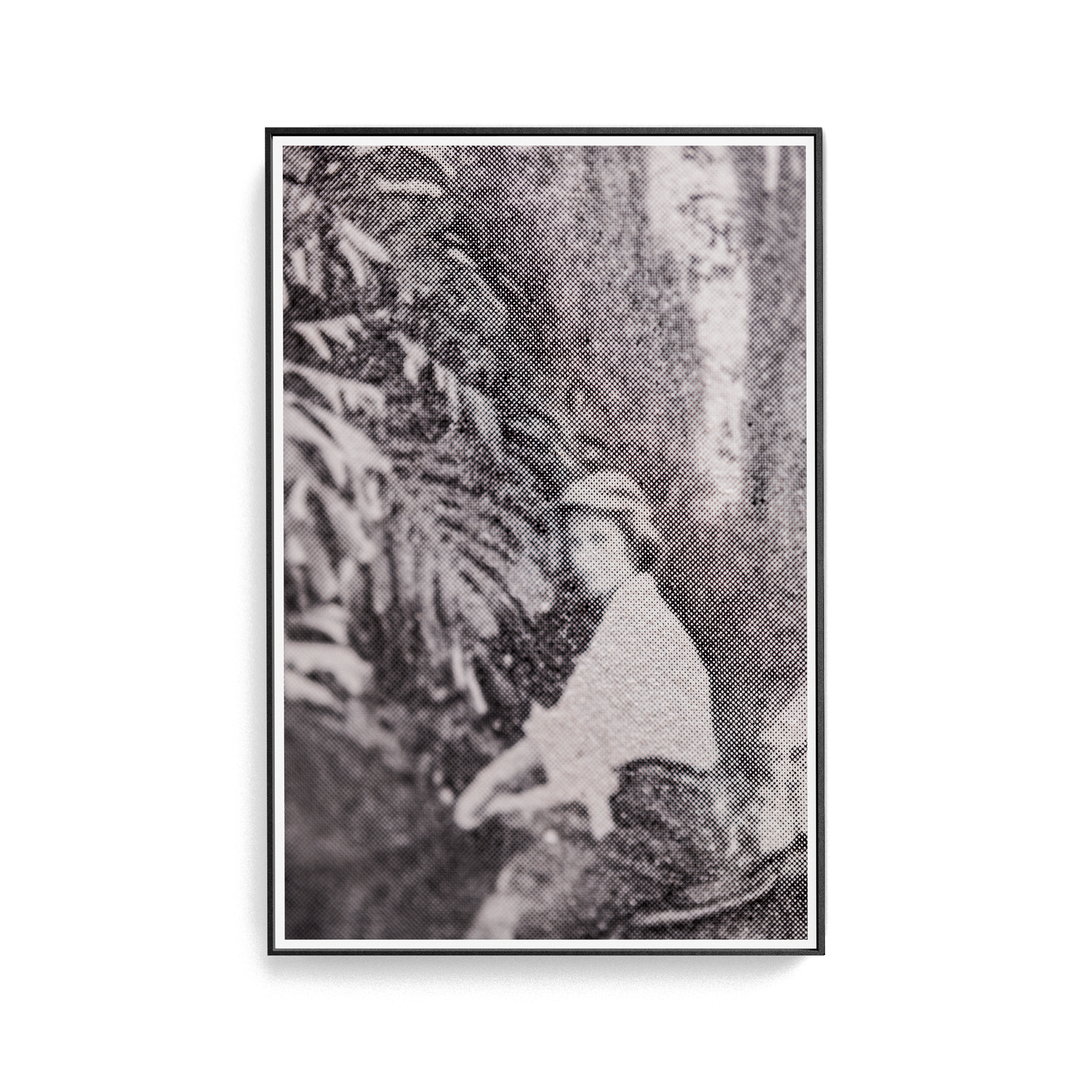 Suite Exotica Nova (No. 3) photographic print