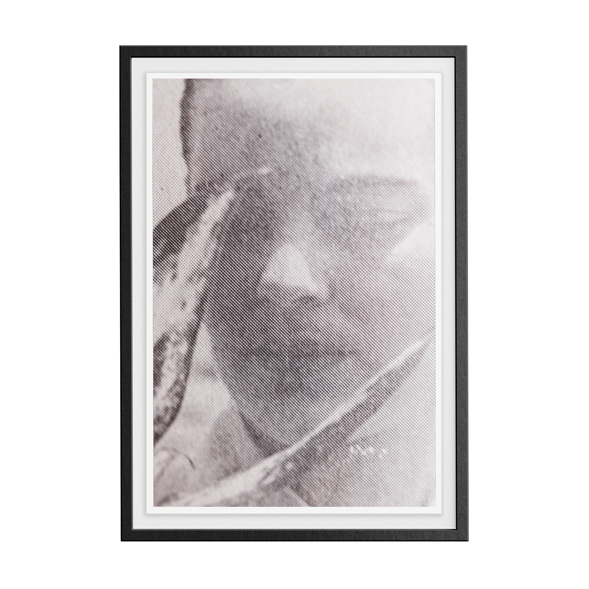 Suite Exotica Nova (No. 4) photographic print