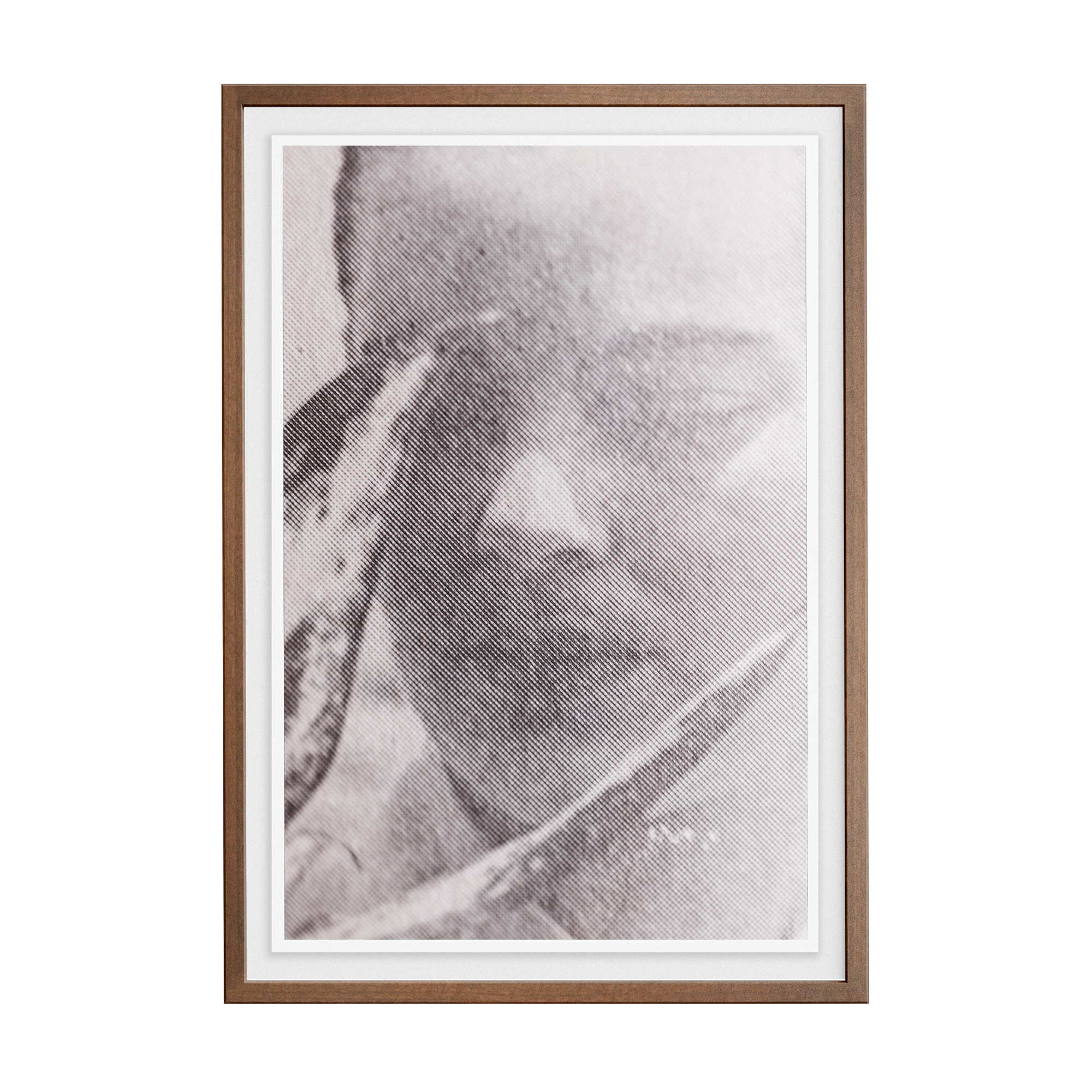 Suite Exotica Nova (No. 4) photographic print