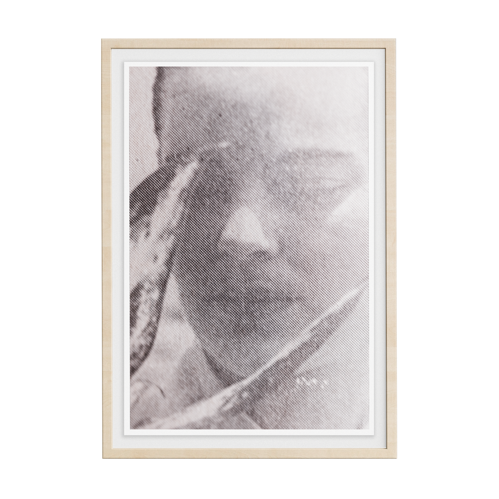 Suite Exotica Nova (No. 4) photographic print