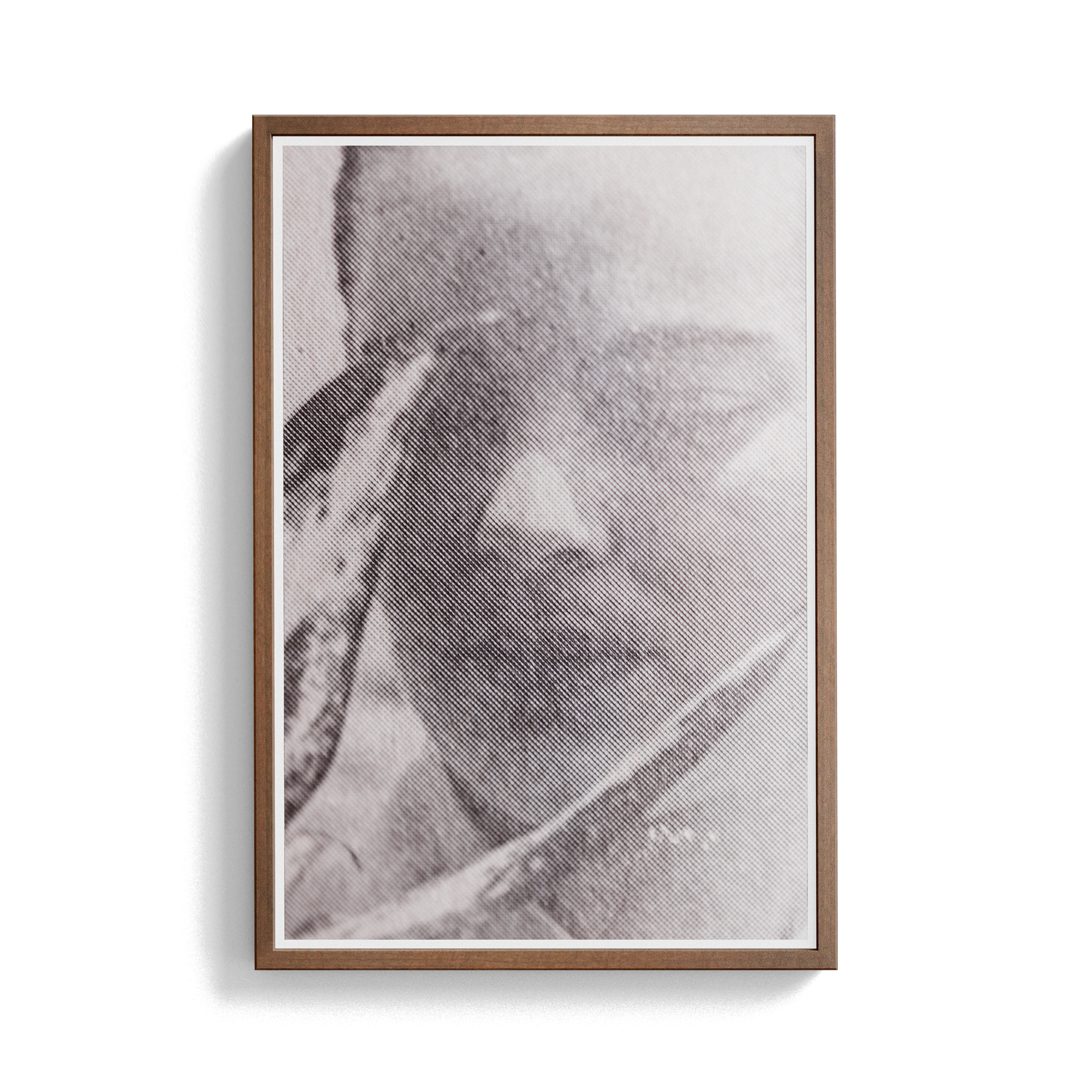 Suite Exotica Nova (No. 4) photographic print