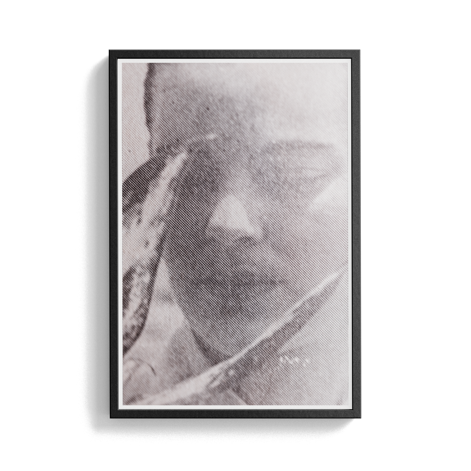 Suite Exotica Nova (No. 4) photographic print