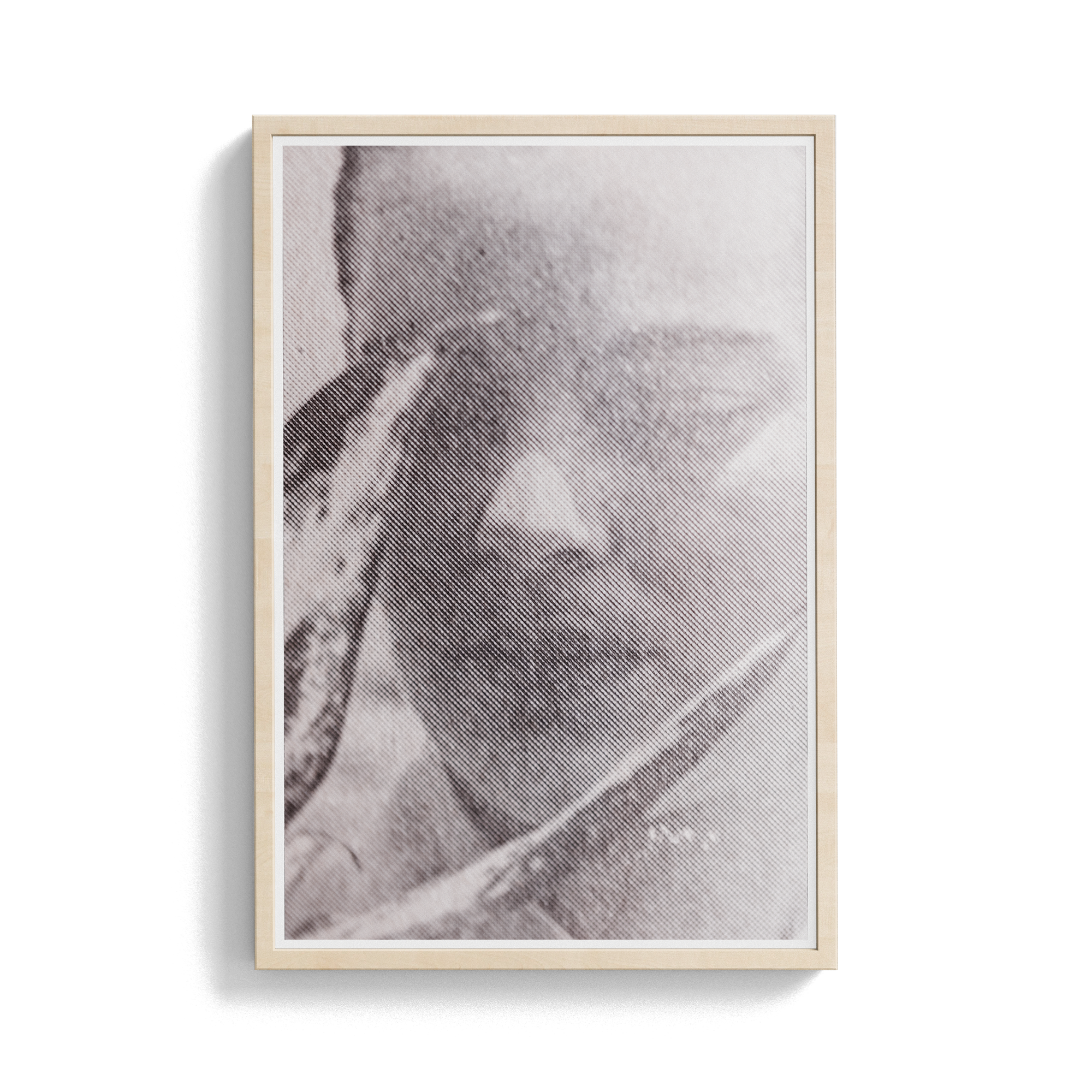 Suite Exotica Nova (No. 4) photographic print