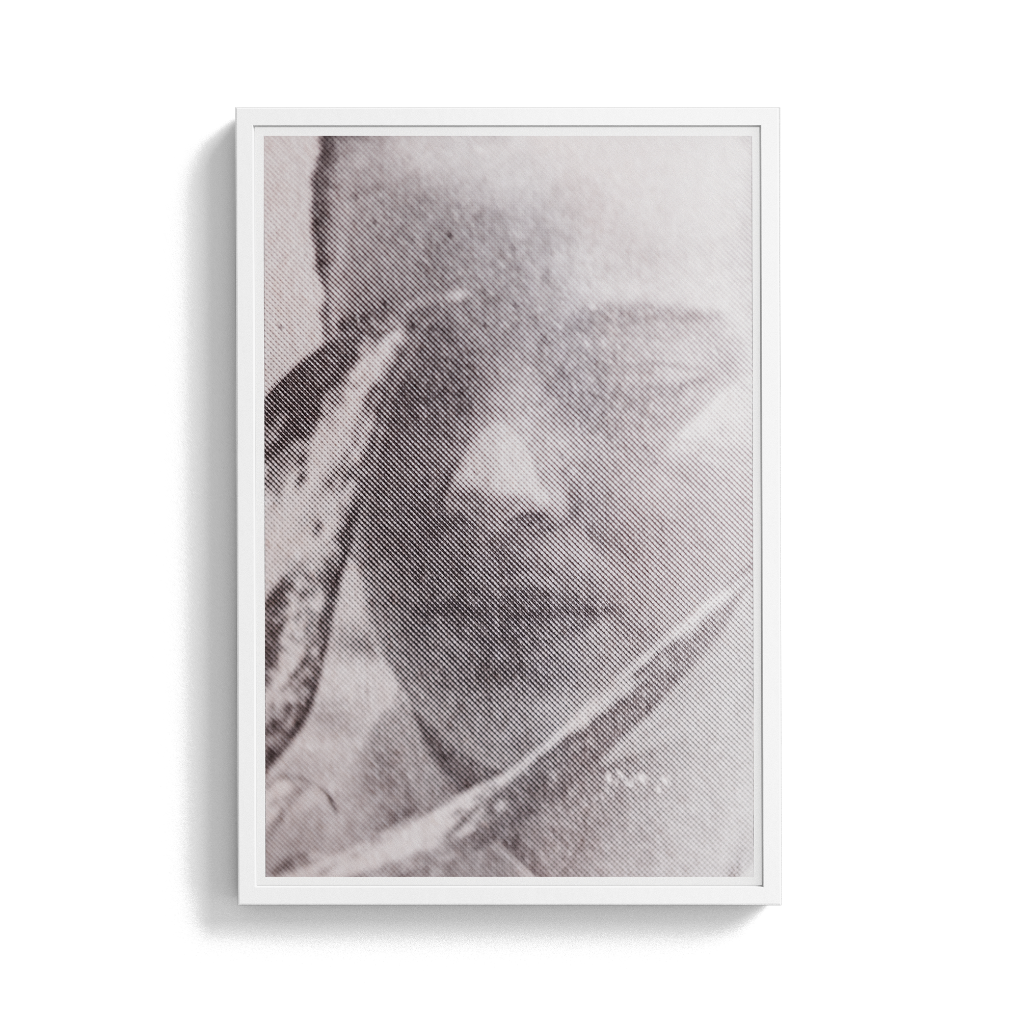 Suite Exotica Nova (No. 4) photographic print