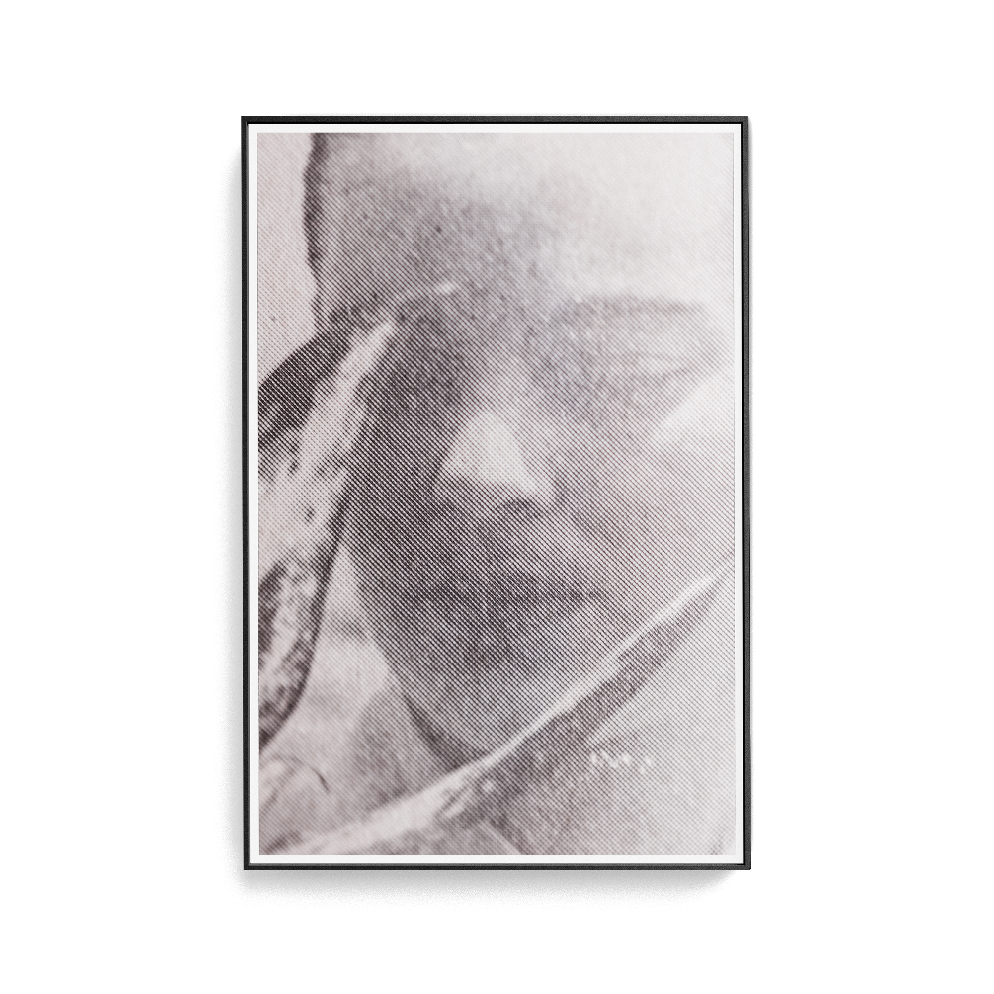 Suite Exotica Nova (No. 4) photographic print