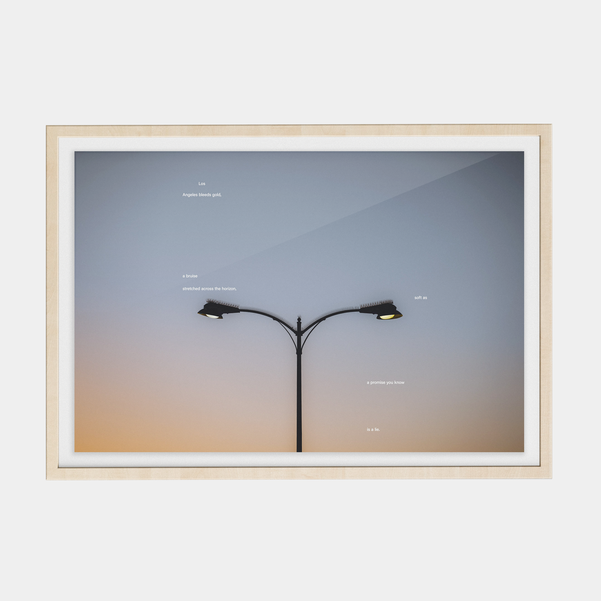 Tone Poem (1, 2025) photographic print