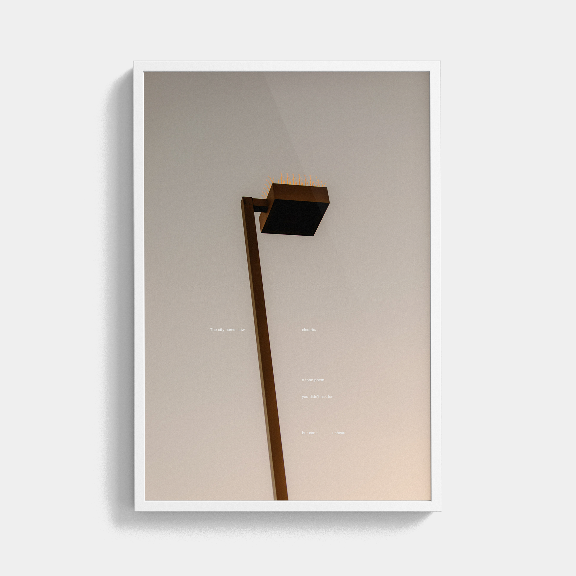 Tone Poem (2, 2025) photographic print