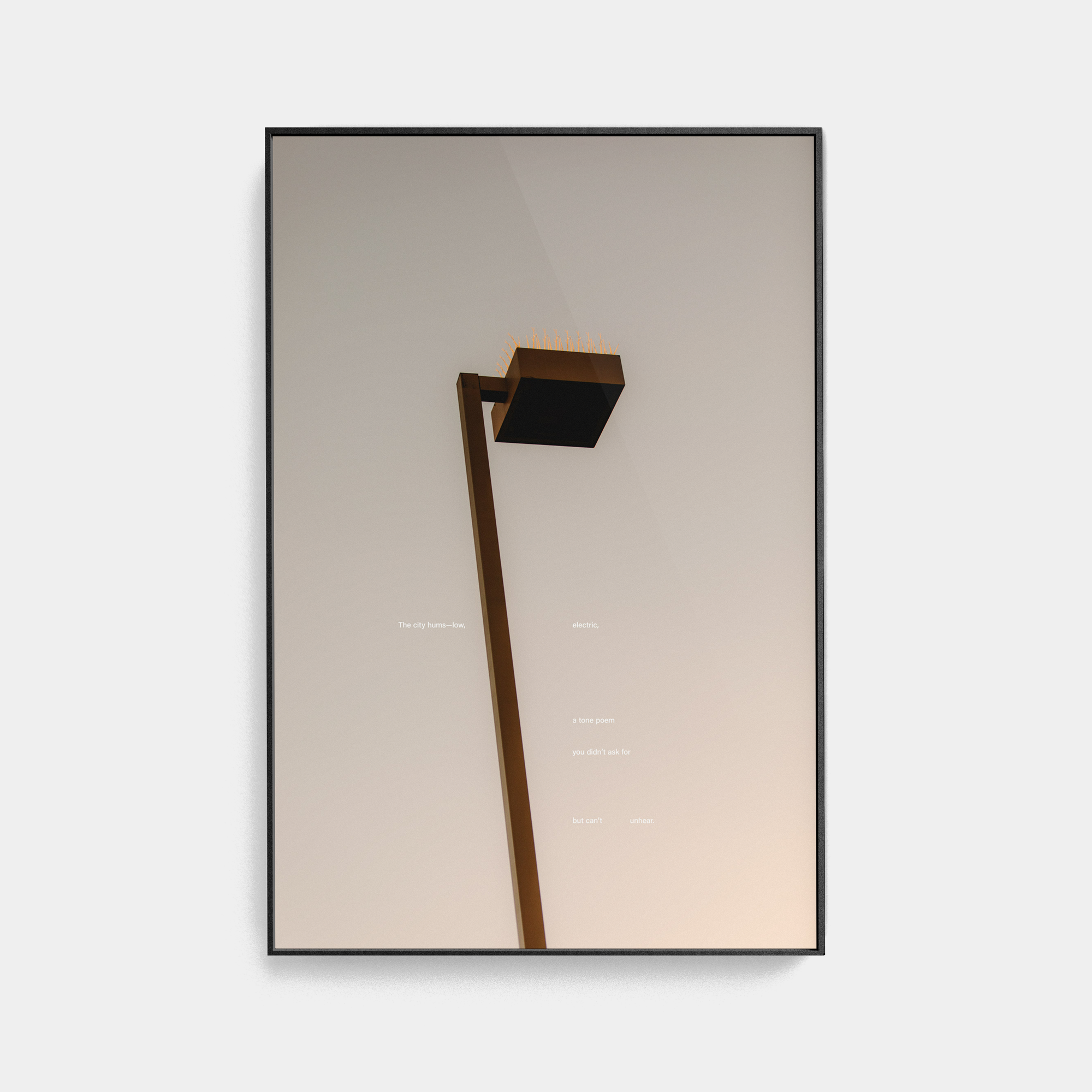 Tone Poem (2, 2025) photographic print