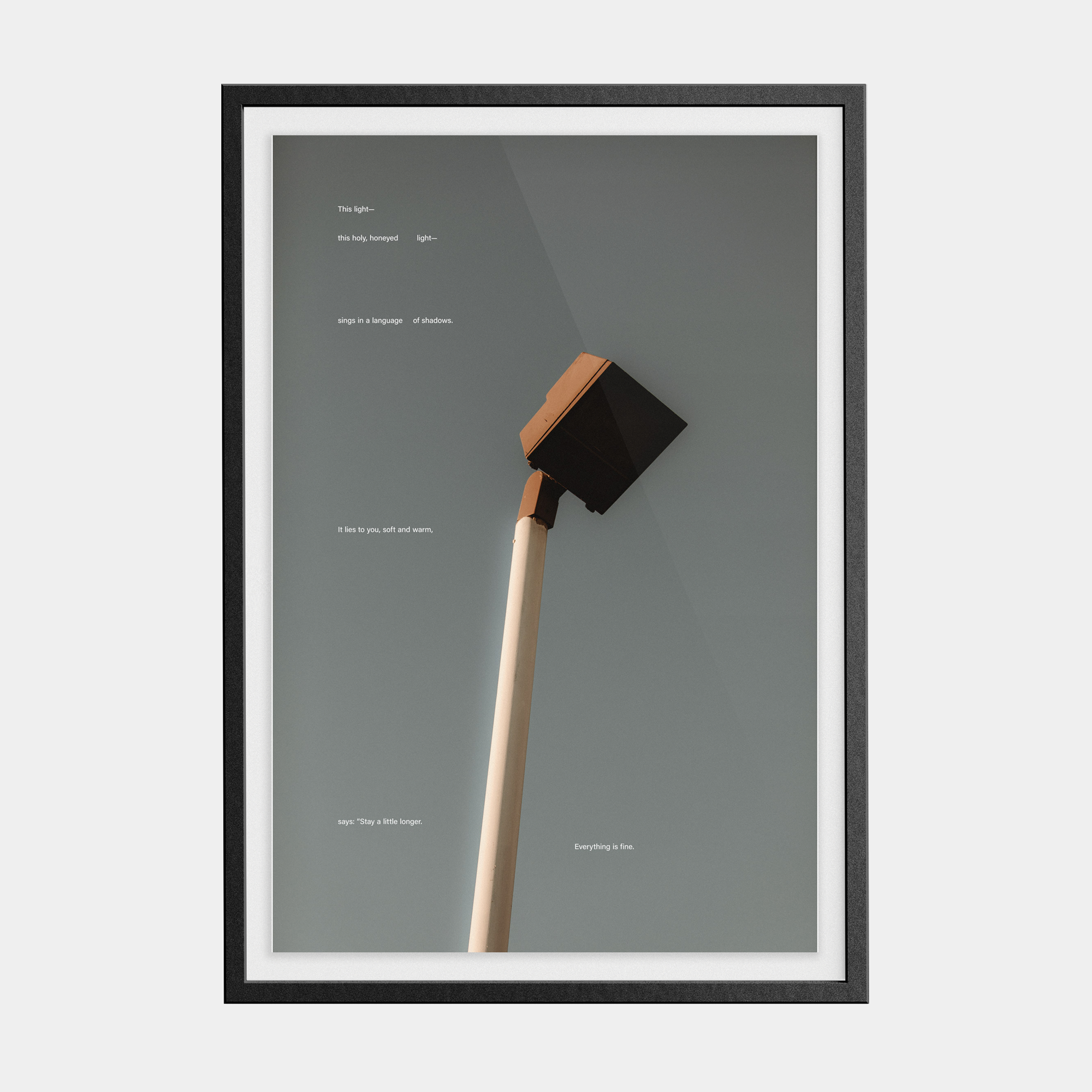 Tone Poem (5, 2025) photographic print
