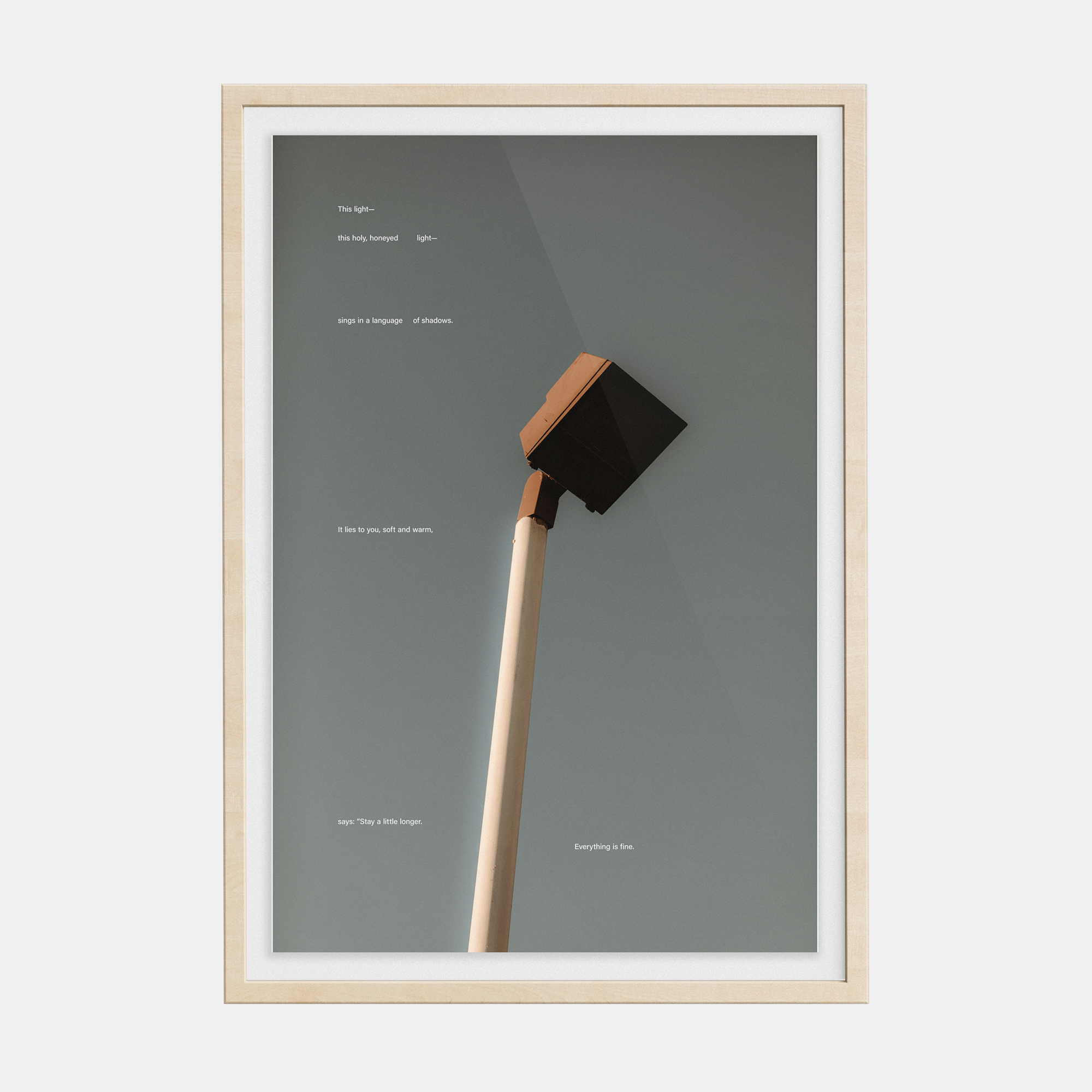 Tone Poem (5, 2025) photographic print