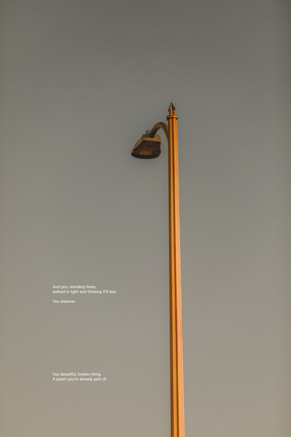 Tone Poem (13, 2025) photographic print