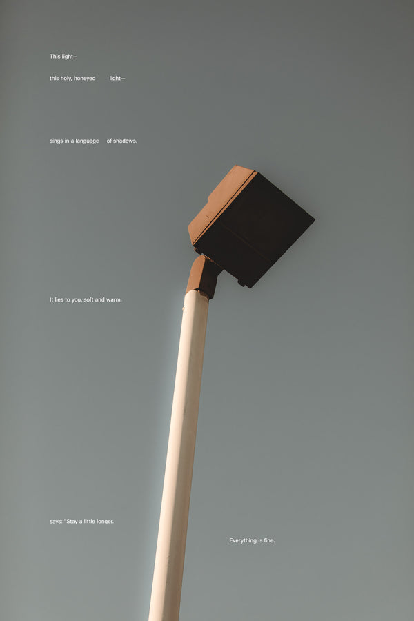 Tone Poem (5, 2025) photographic print