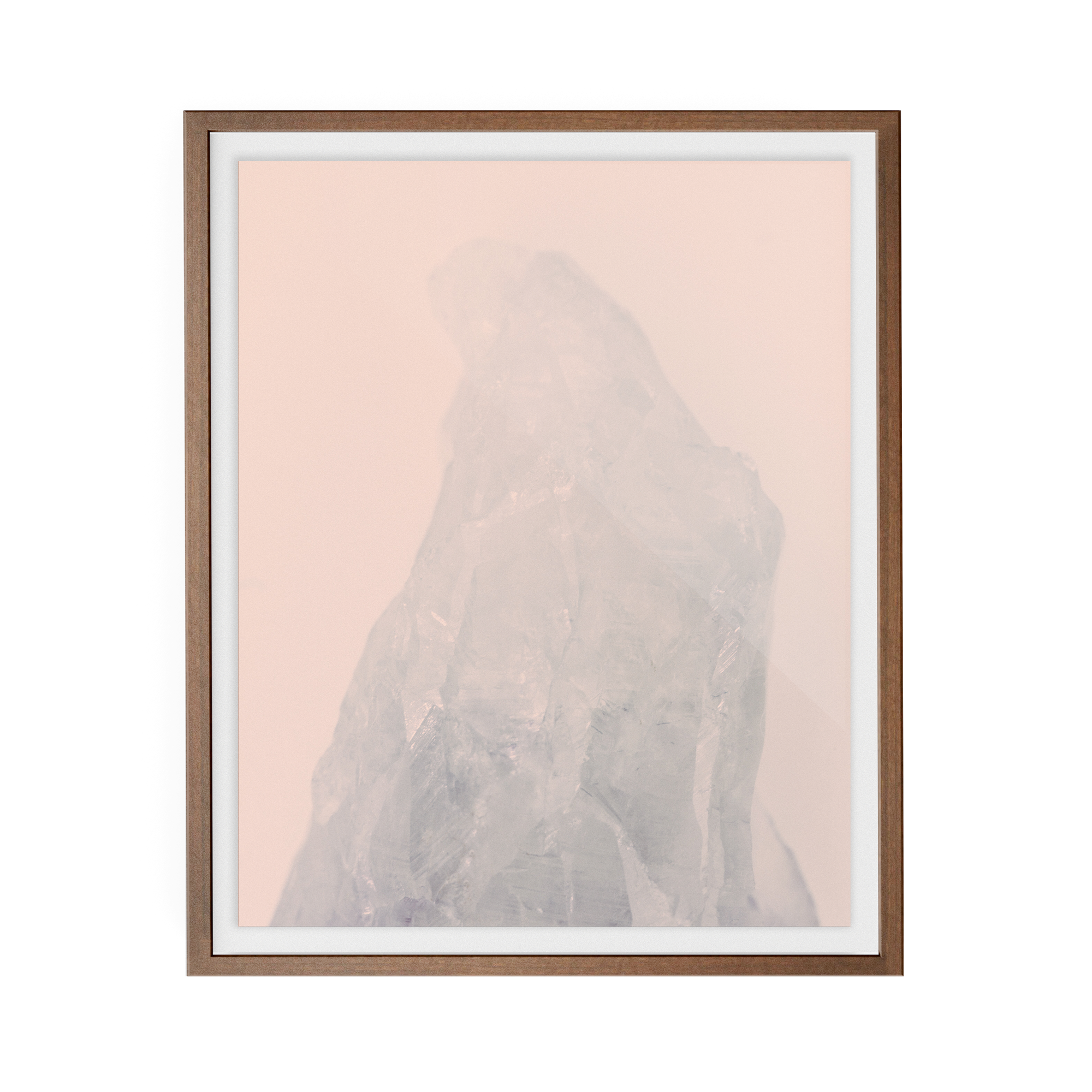 Amethyst Rose (i) photographic print