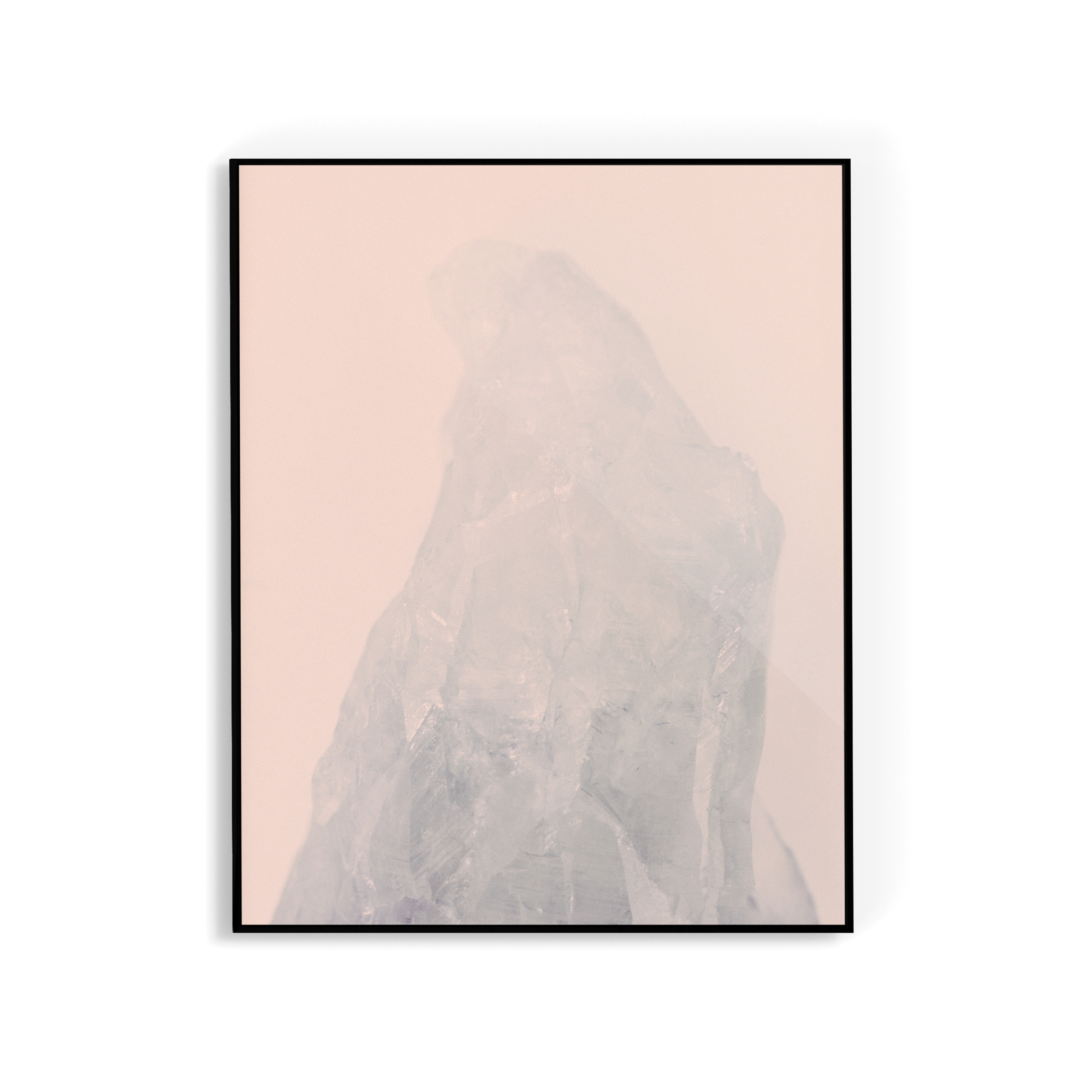 Amethyst Rose (i) photographic print