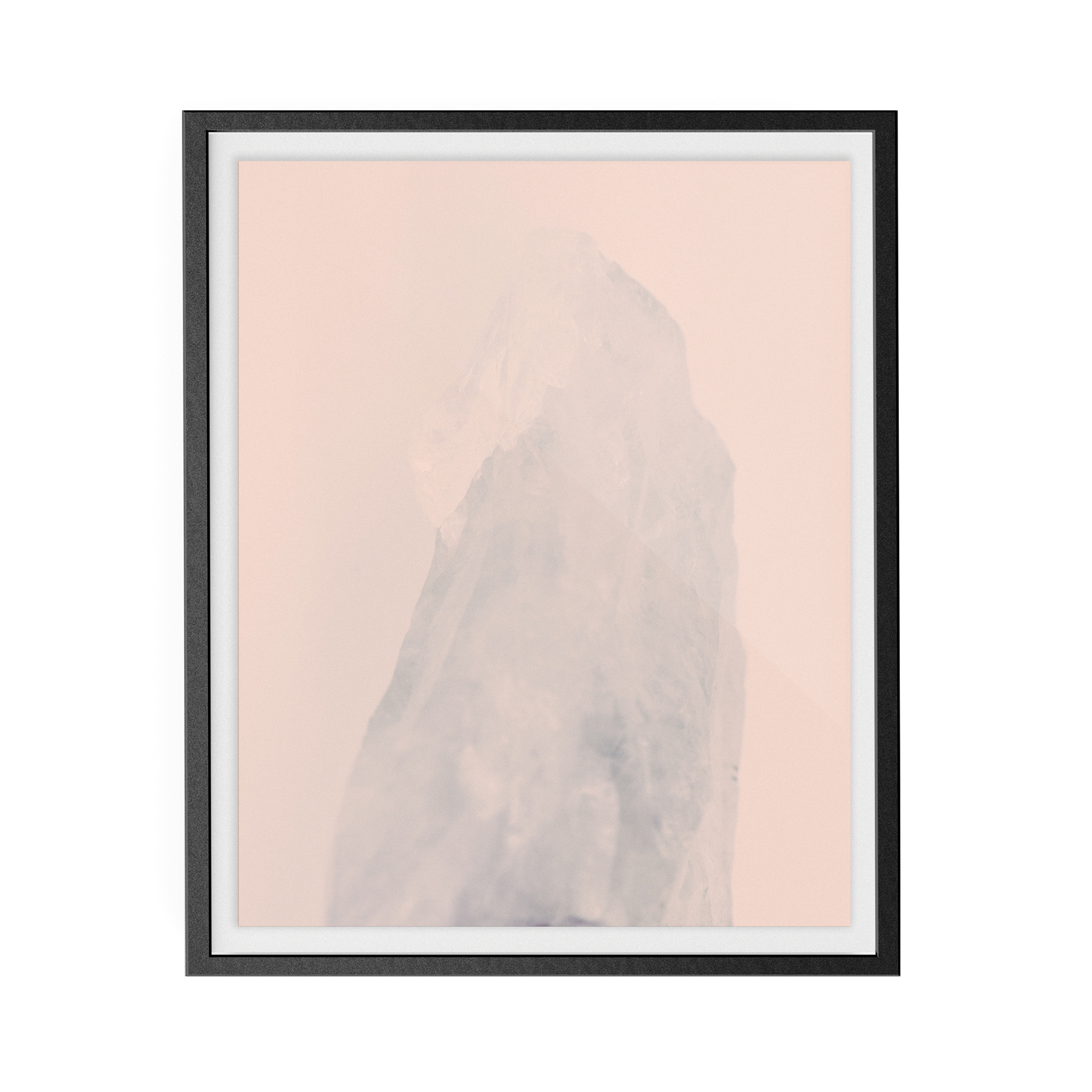 Amethyst Rose (ii) photographic print