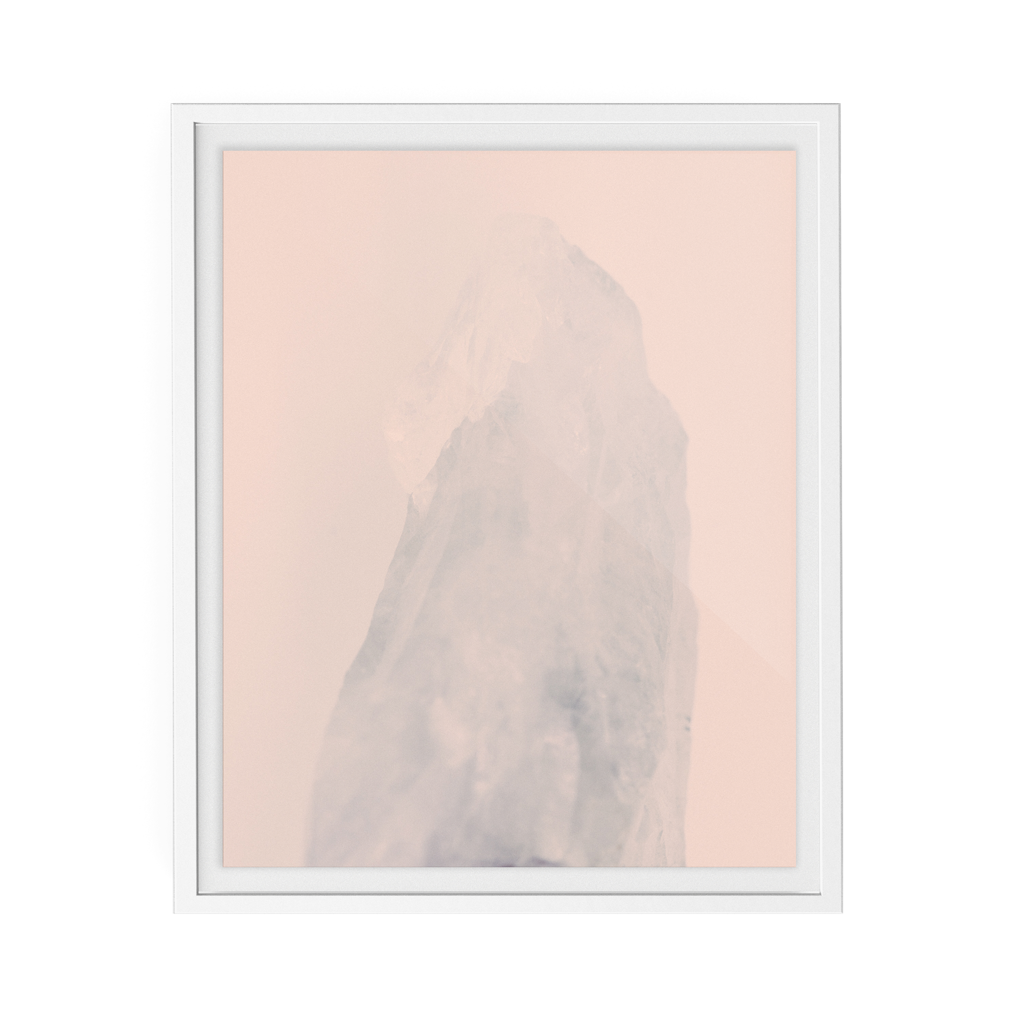 Amethyst Rose (ii) photographic print