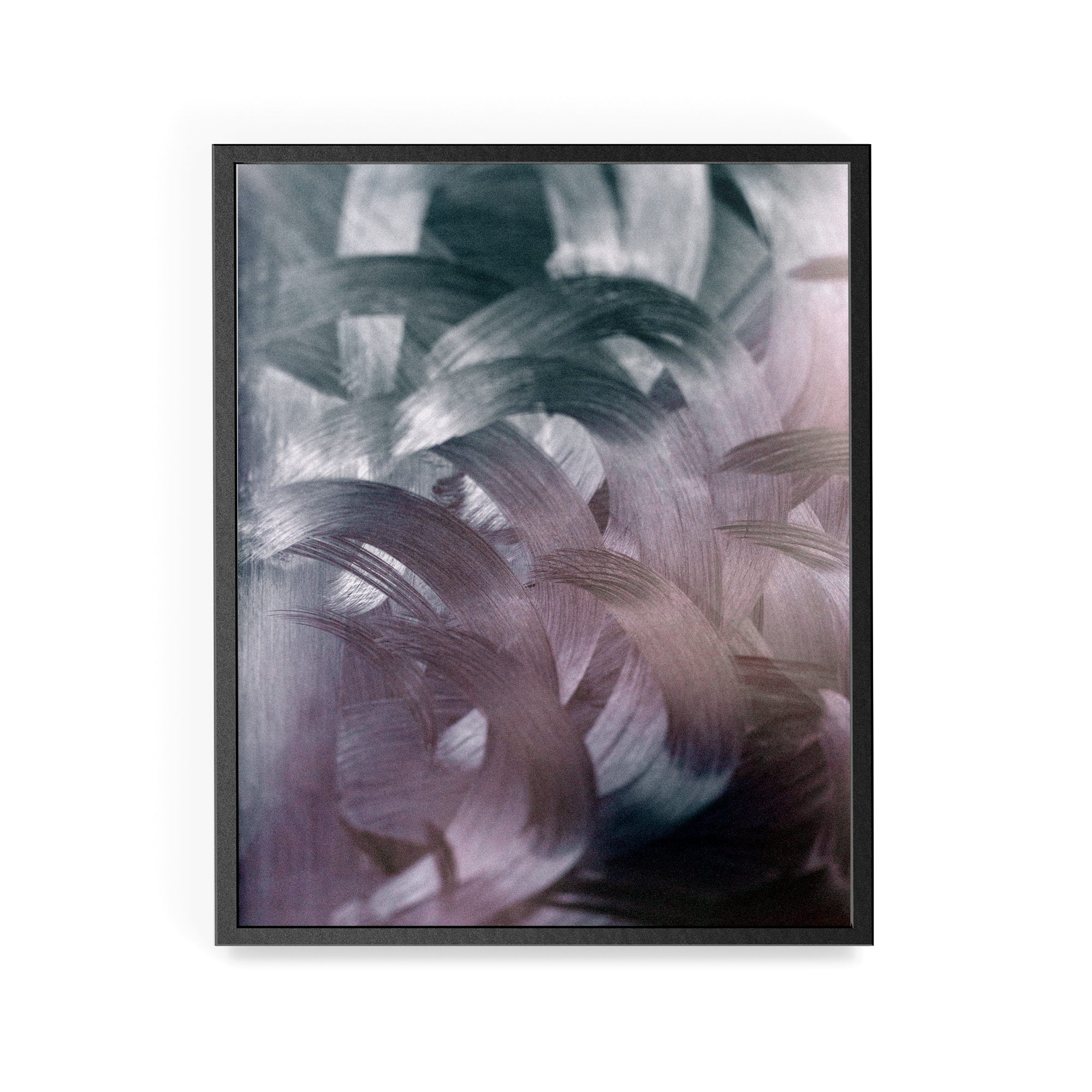 Apstracted (Twitter) photographic print