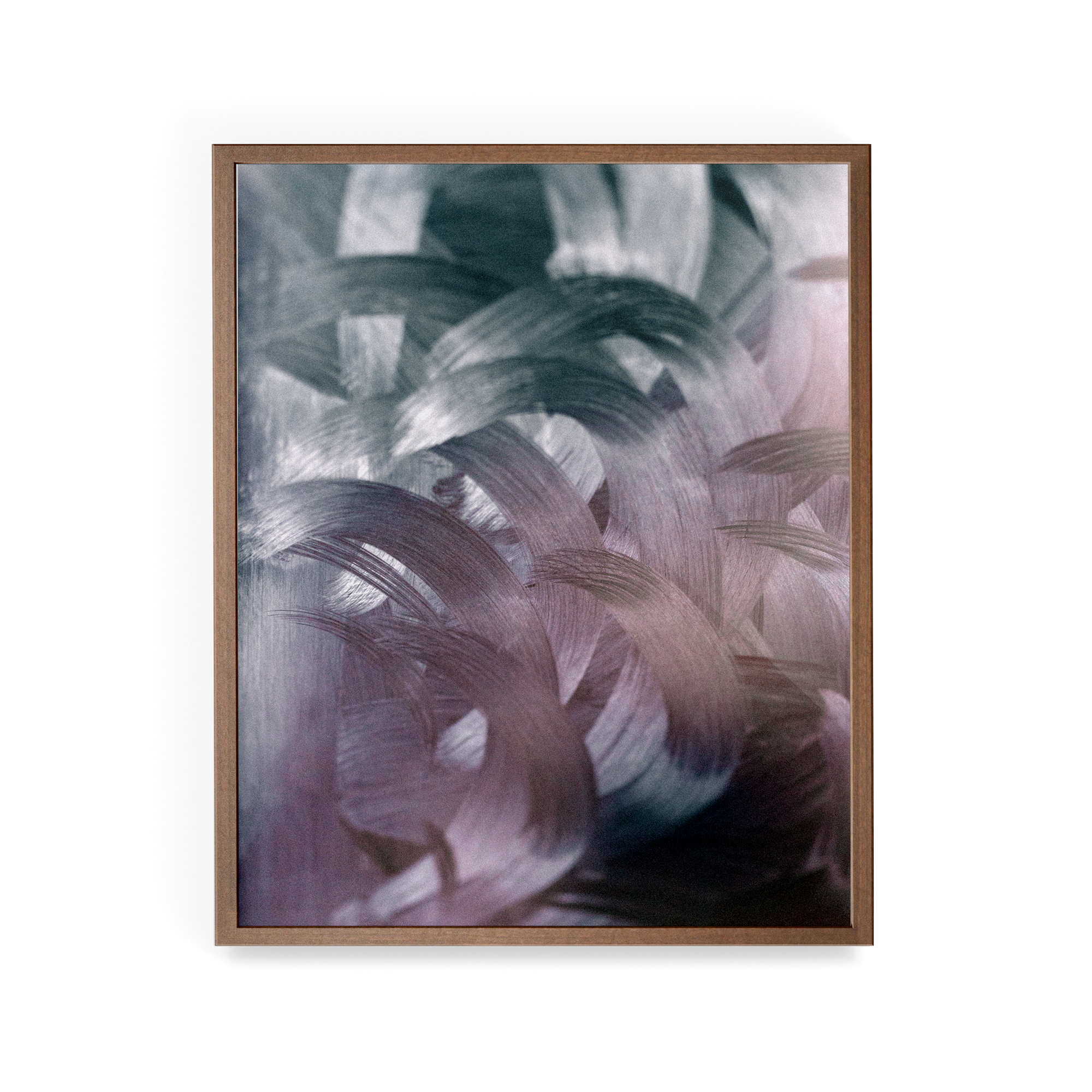 Apstracted (Twitter) photographic print