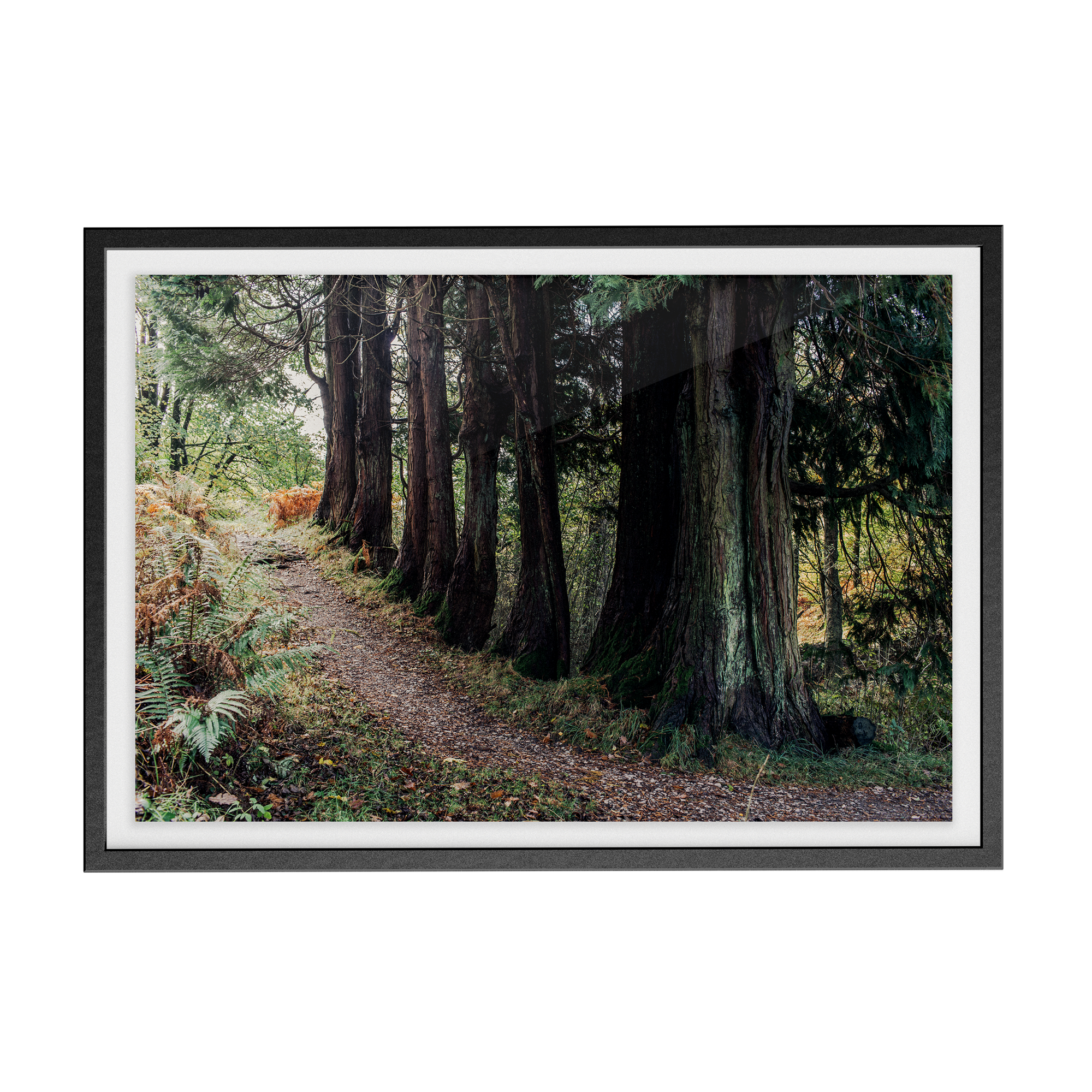 Coniston: Brethren photographic print